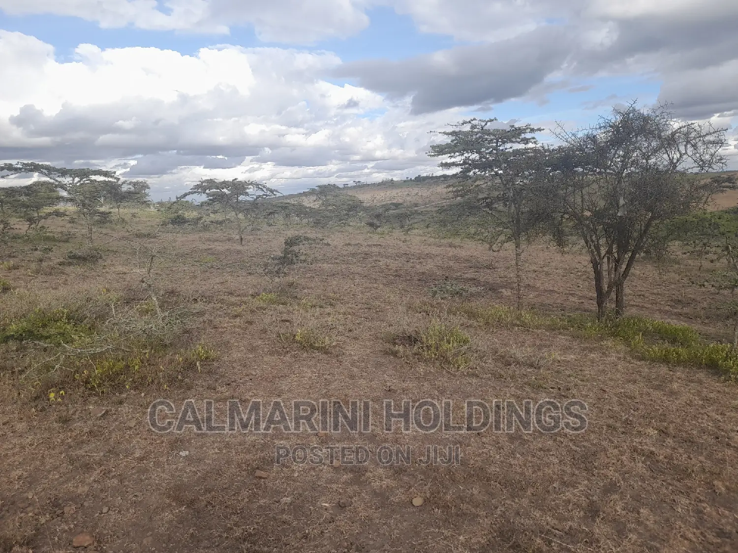Invest in 60 Acres Along Isinya-Konza Bypass: Unmatched Potential in Isinya