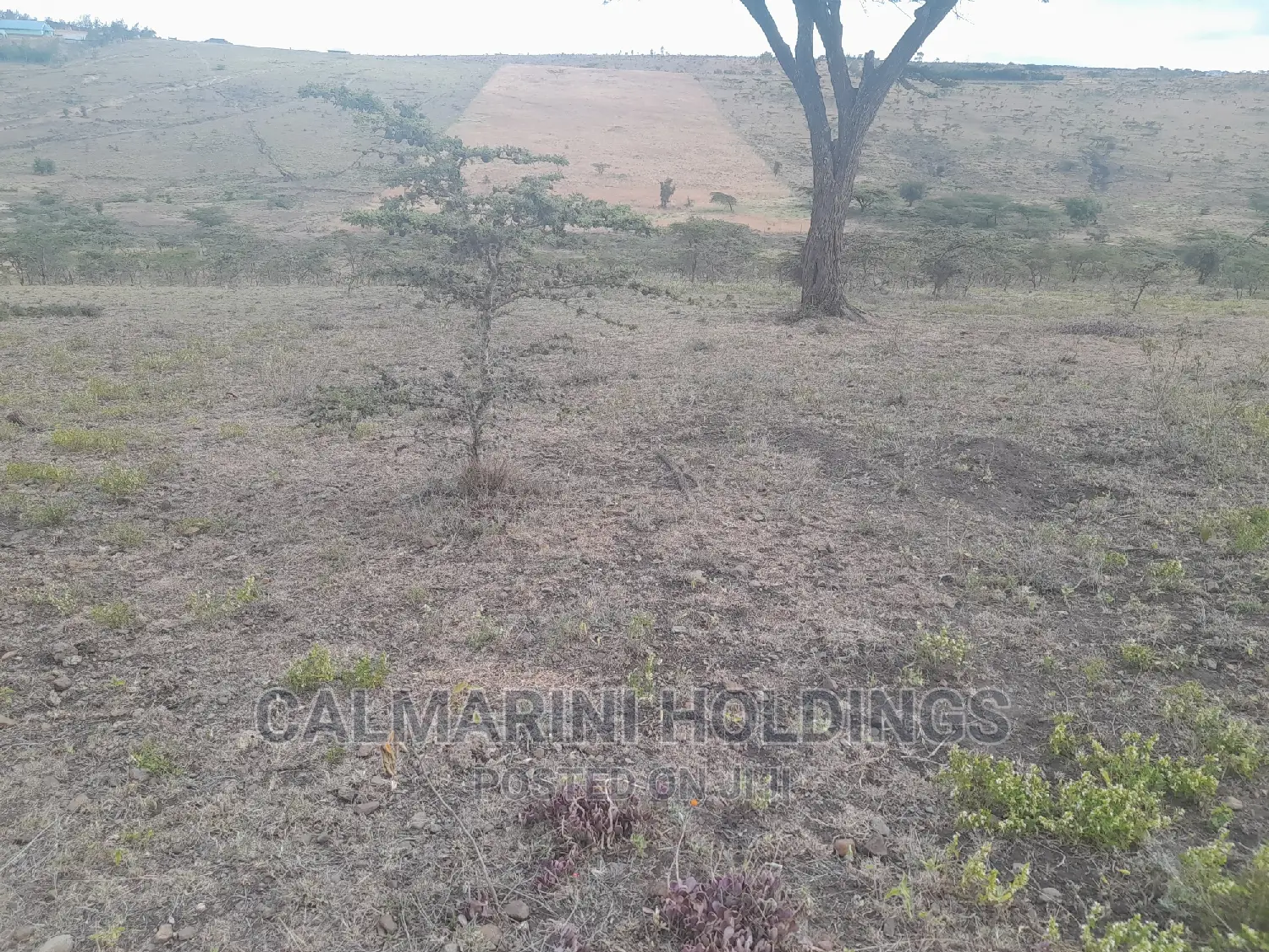 Invest in 60 Acres Along Isinya-Konza Bypass: Unmatched Potential in Isinya