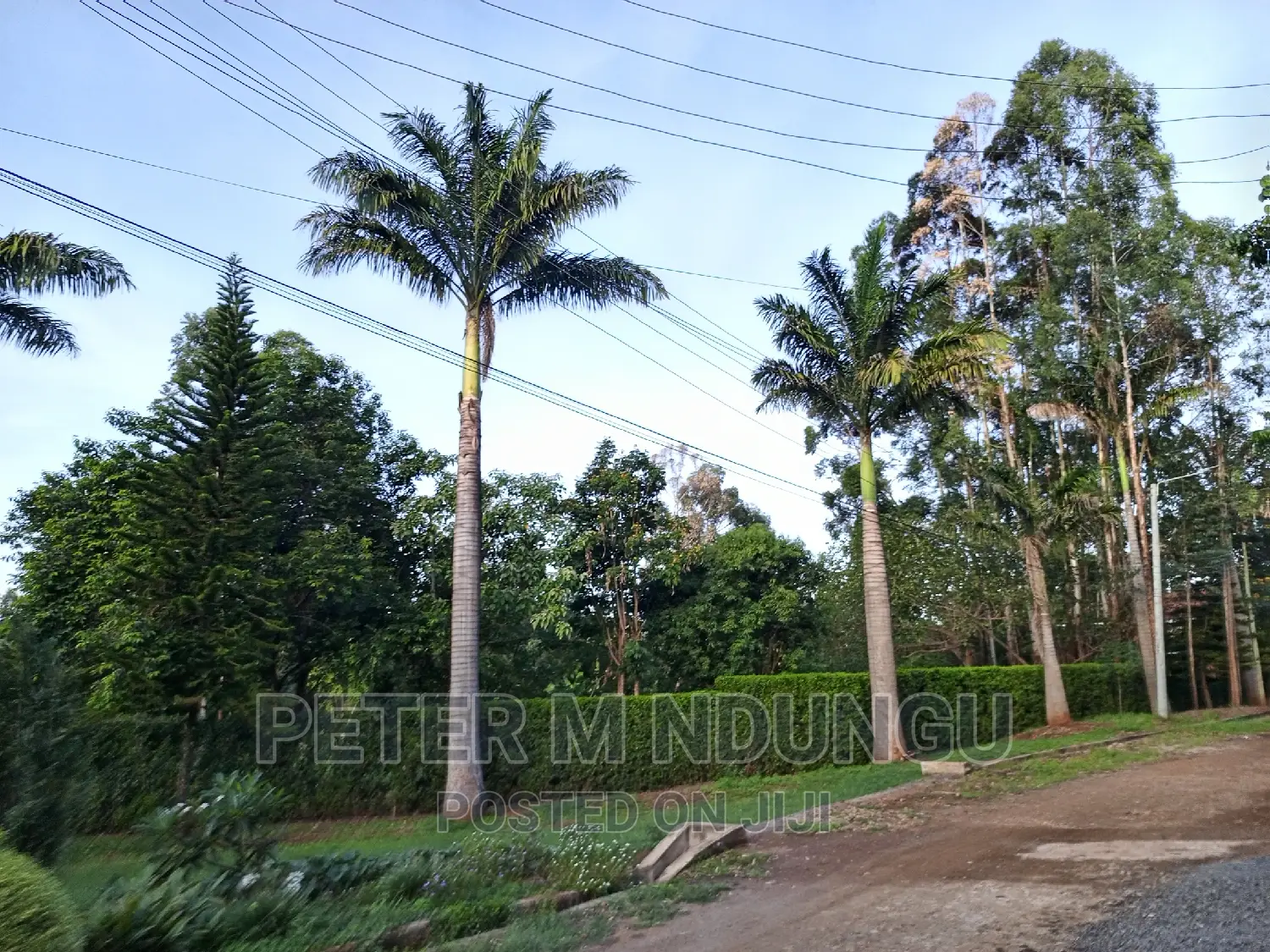 Magnificent 0.5 Acre Property in Muthaiga North Parkside in Muthaiga North