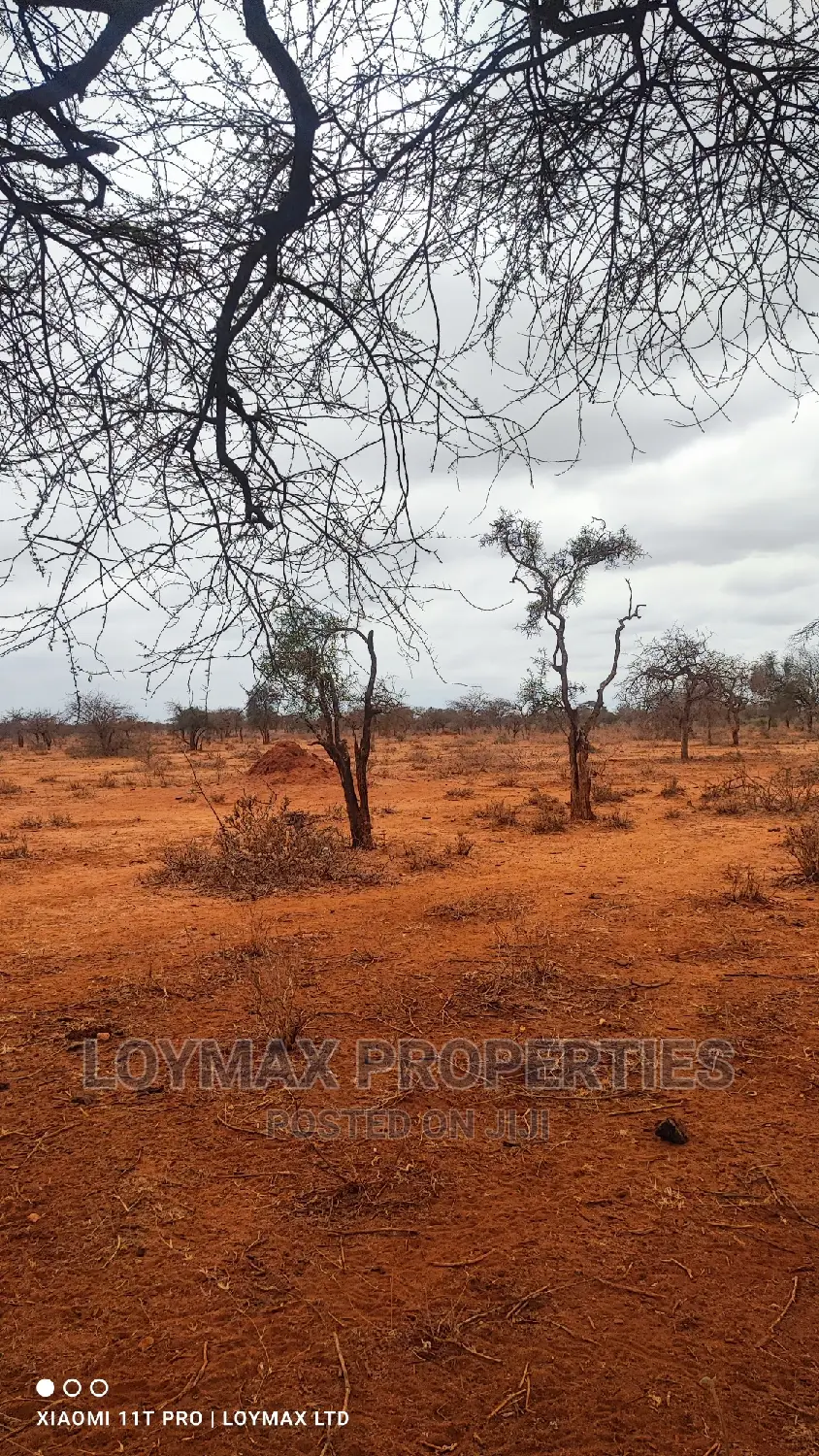 42 Acres for Sale in Kajiado Mashuru in Eselenkei