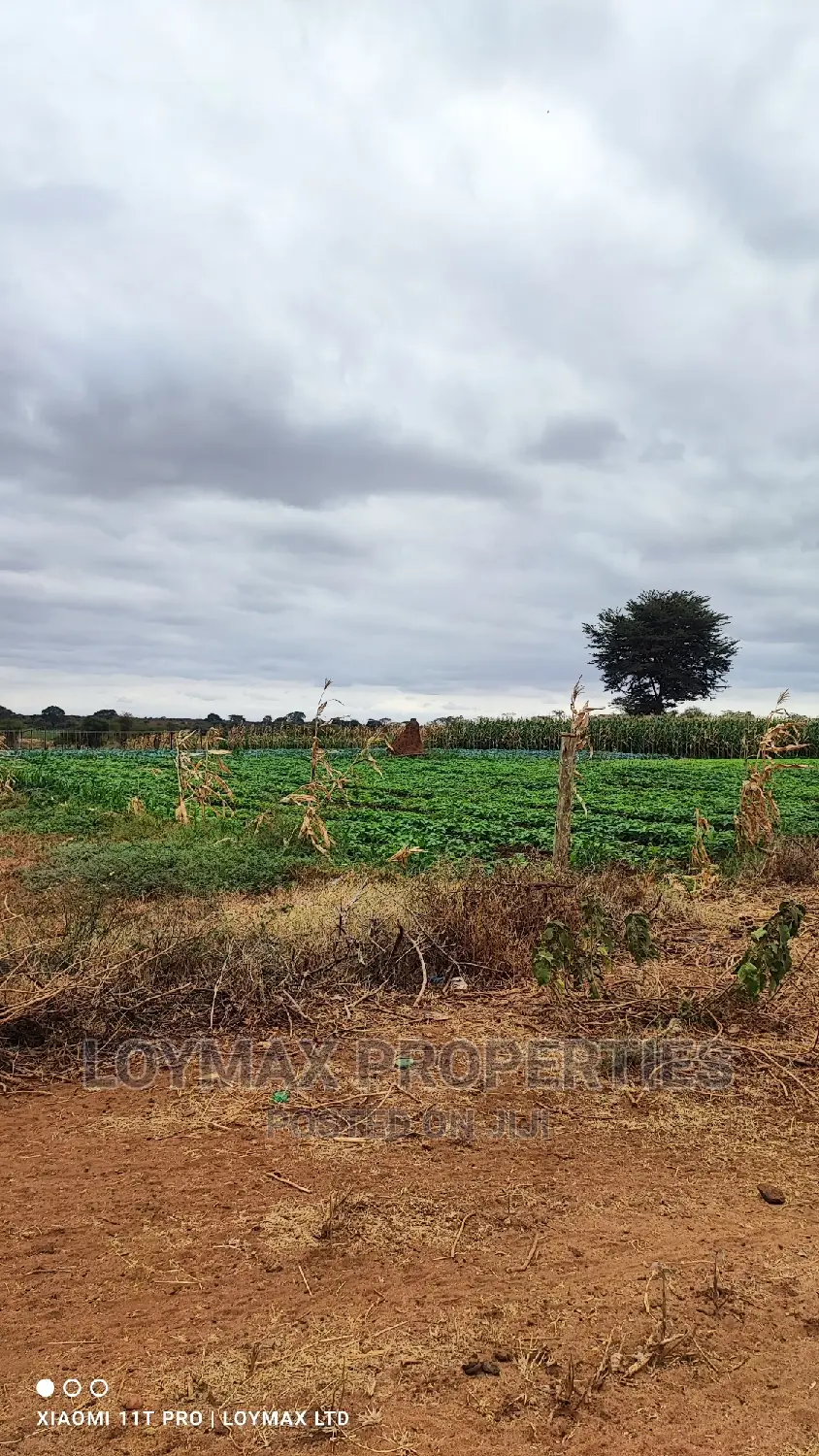 42 Acres for Sale in Kajiado Mashuru in Eselenkei