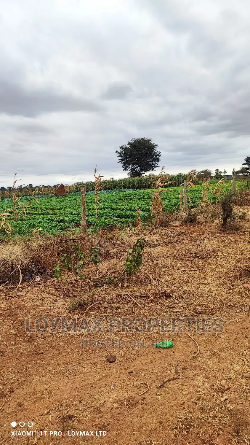 42 Acres for Sale in Kajiado Mashuru in Eselenkei
