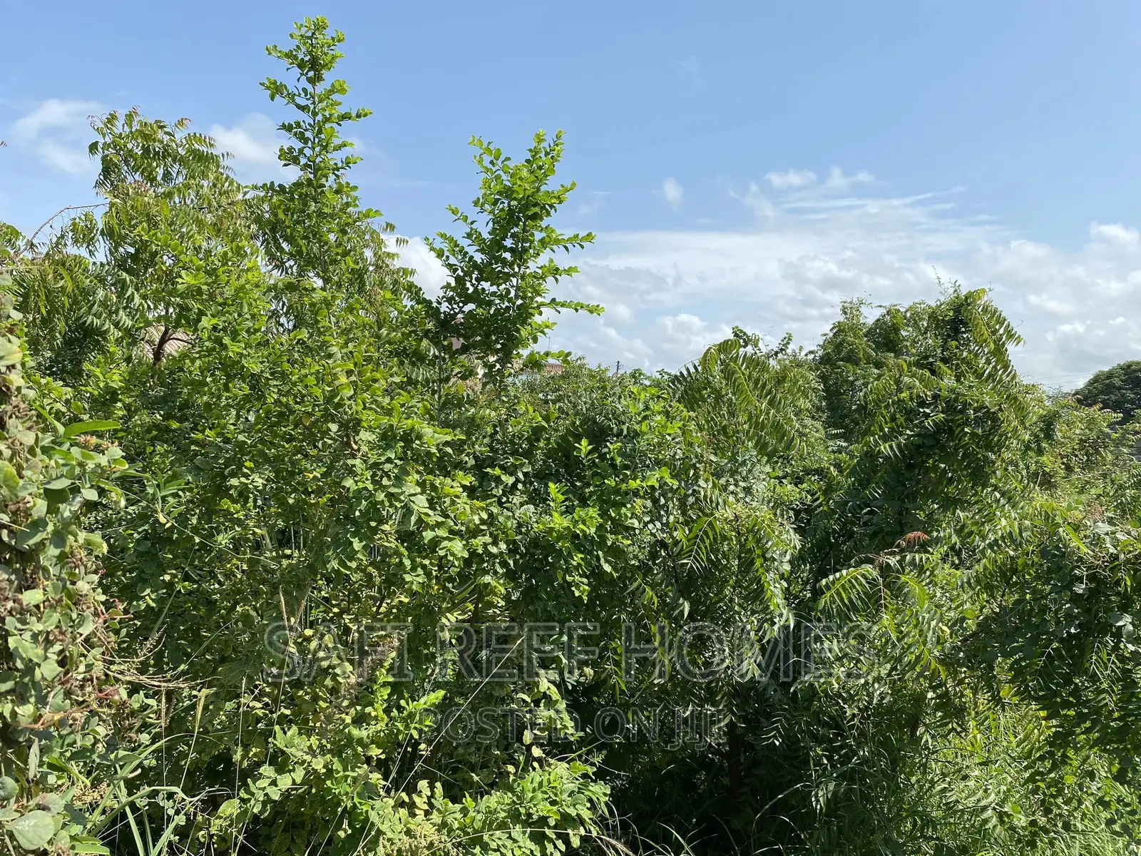 JCC Bamburi's 50m x 100m Land for Sale - Unbeatable Offer in Bamburi
