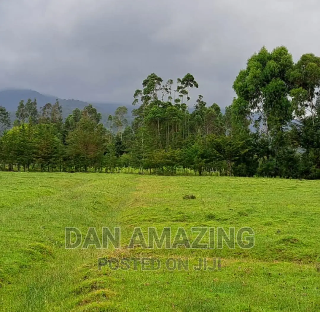 Farmland for Sale: 40 Acres in Nyandarua County in Rurii