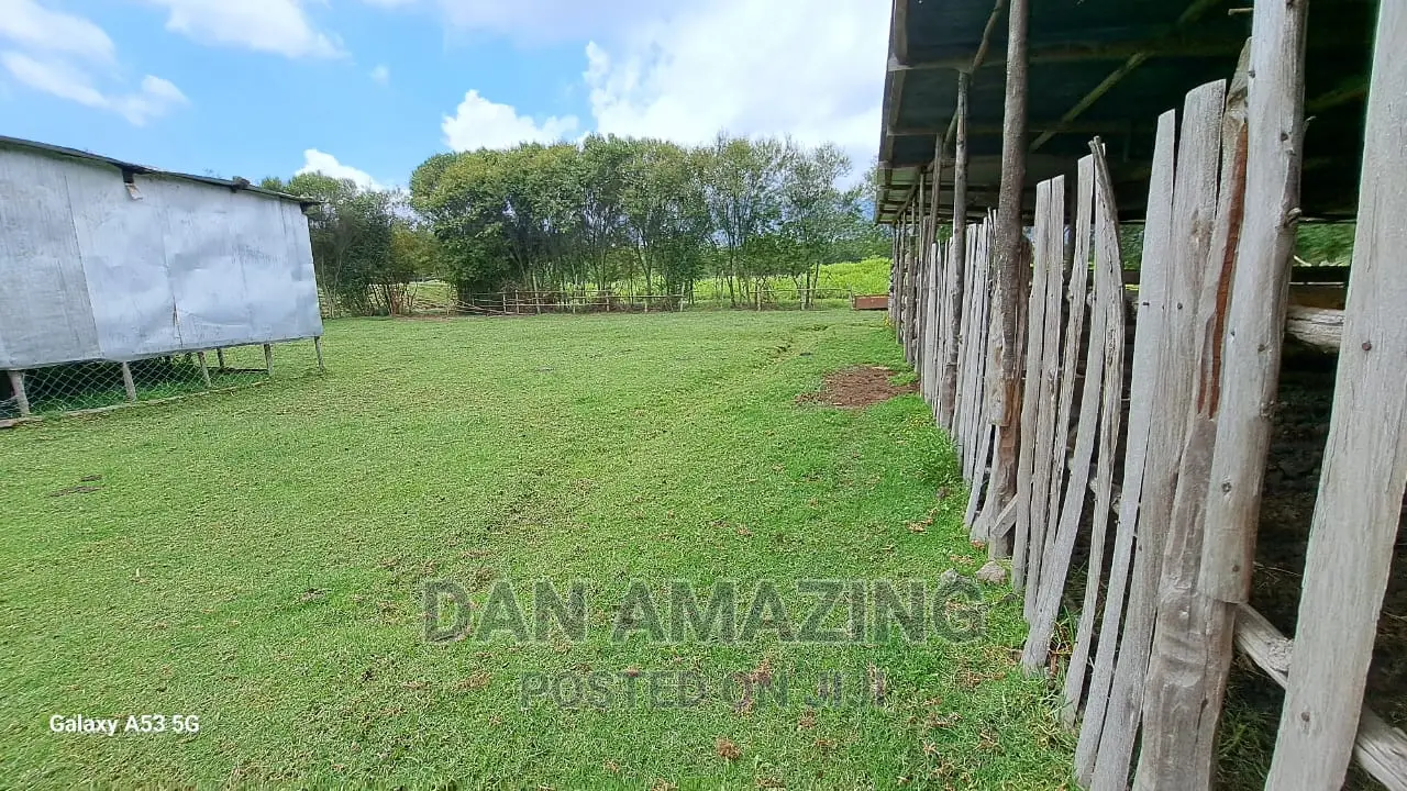 Farmland for Sale: 40 Acres in Nyandarua County in Rurii