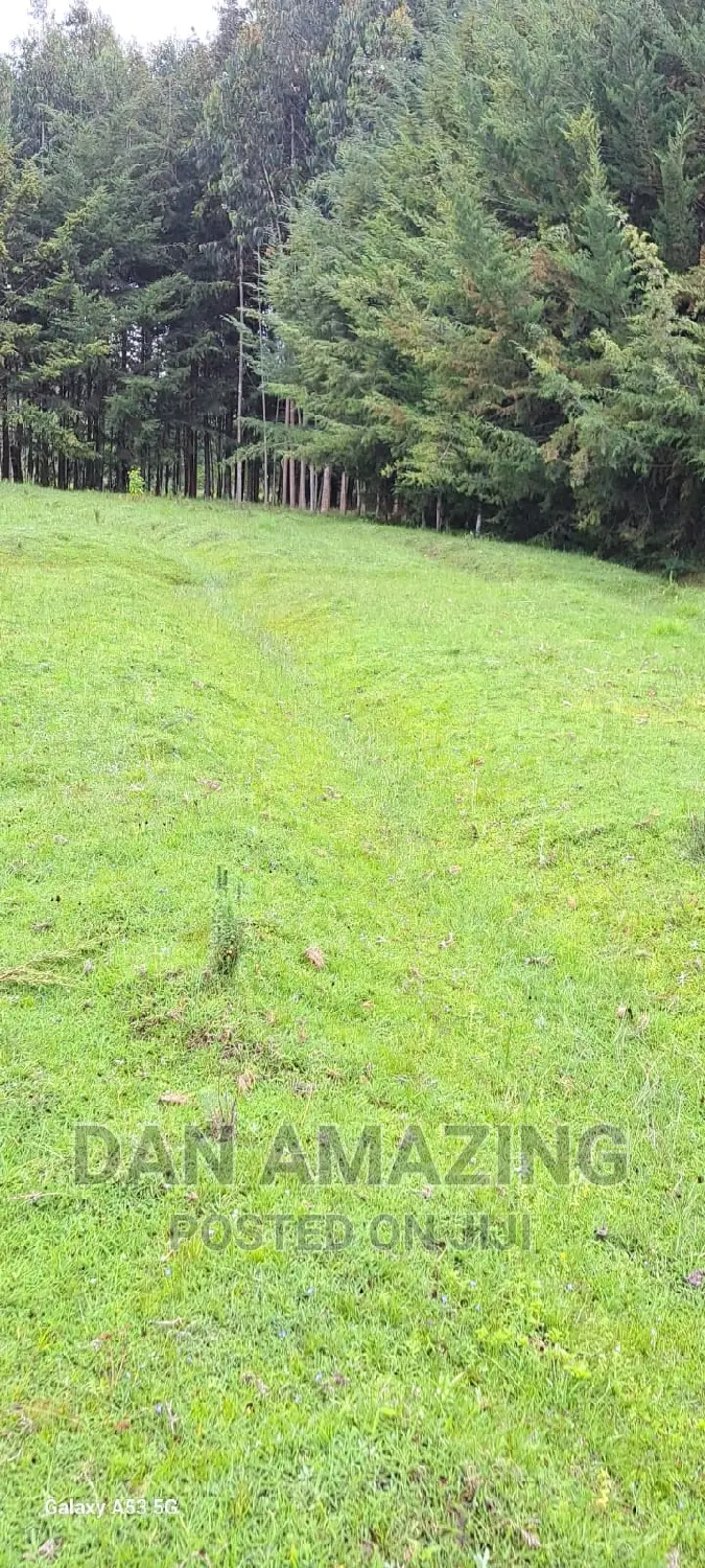 Farmland for Sale: 40 Acres in Nyandarua County in Rurii