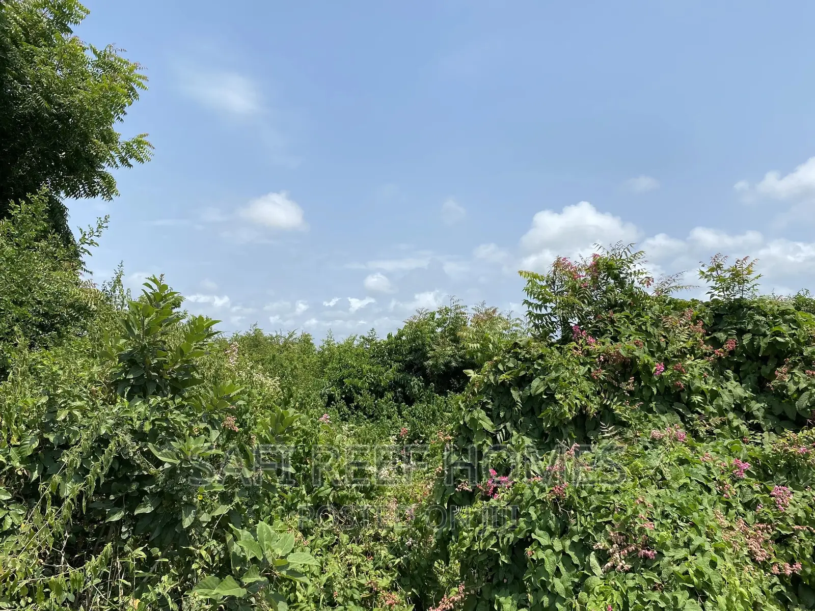 prime 1.1 Acre Land in Links Road - Ideal for High-Rise Construction Opportunity in Nyali