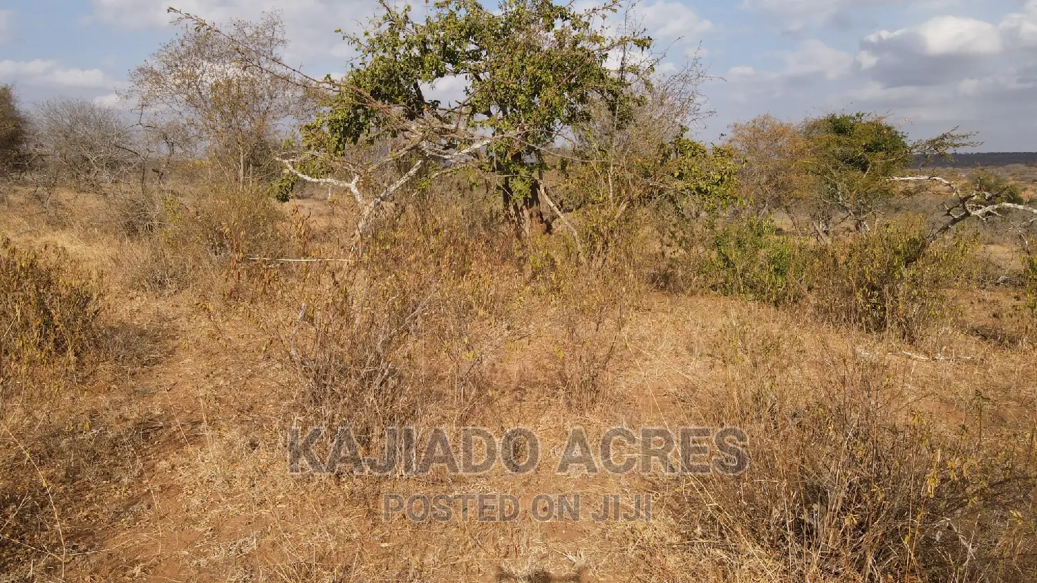 Konza's 48 Acre Prime Land Opportunity: $2.5m per Acre in Malili