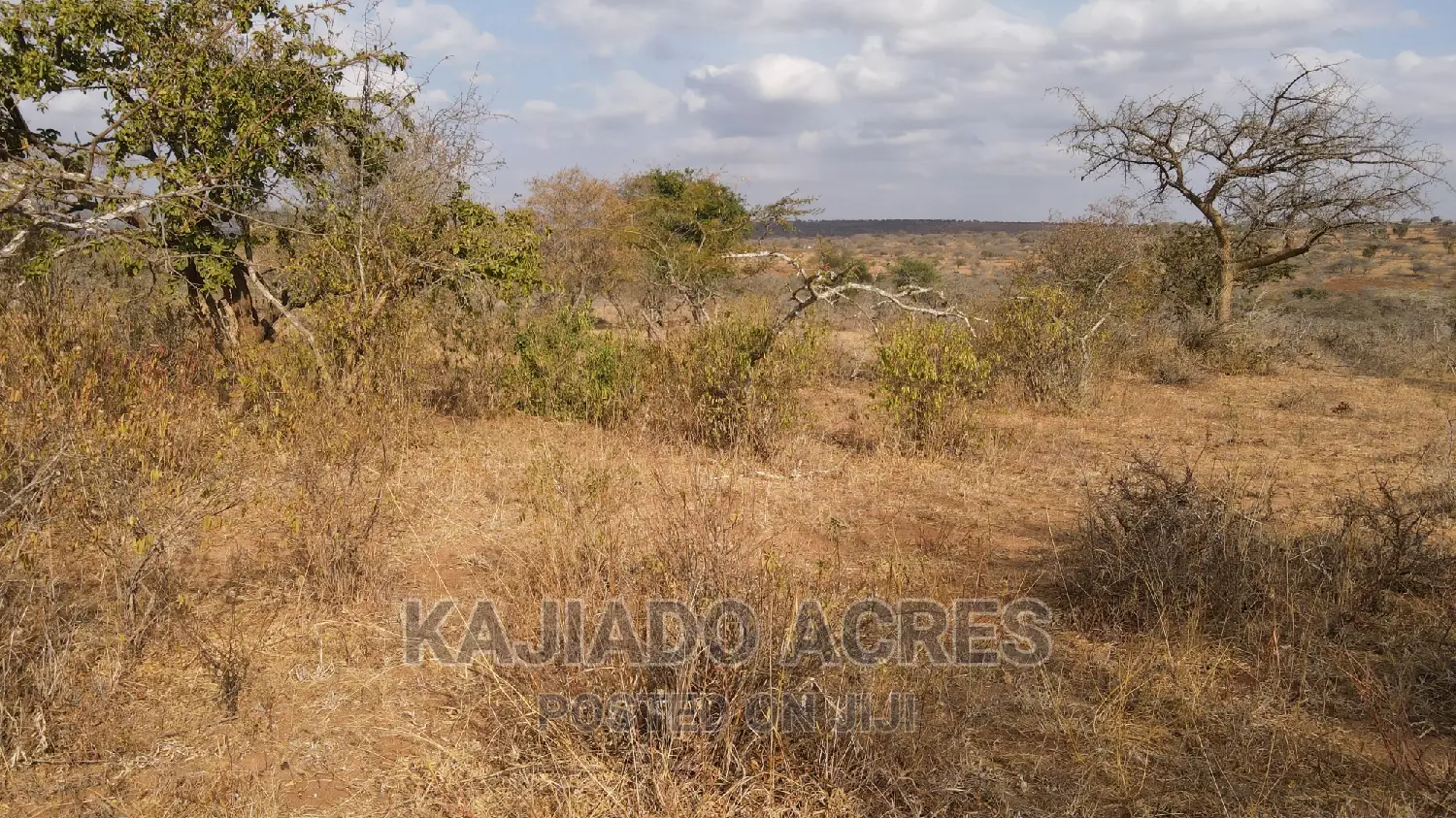 Konza's 48 Acre Prime Land Opportunity: $2.5m per Acre in Malili