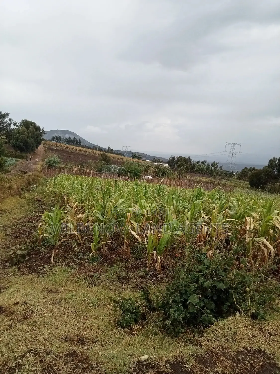 Naivasha Viewpoint Land: Discover Your Dream Property in Naivasha East