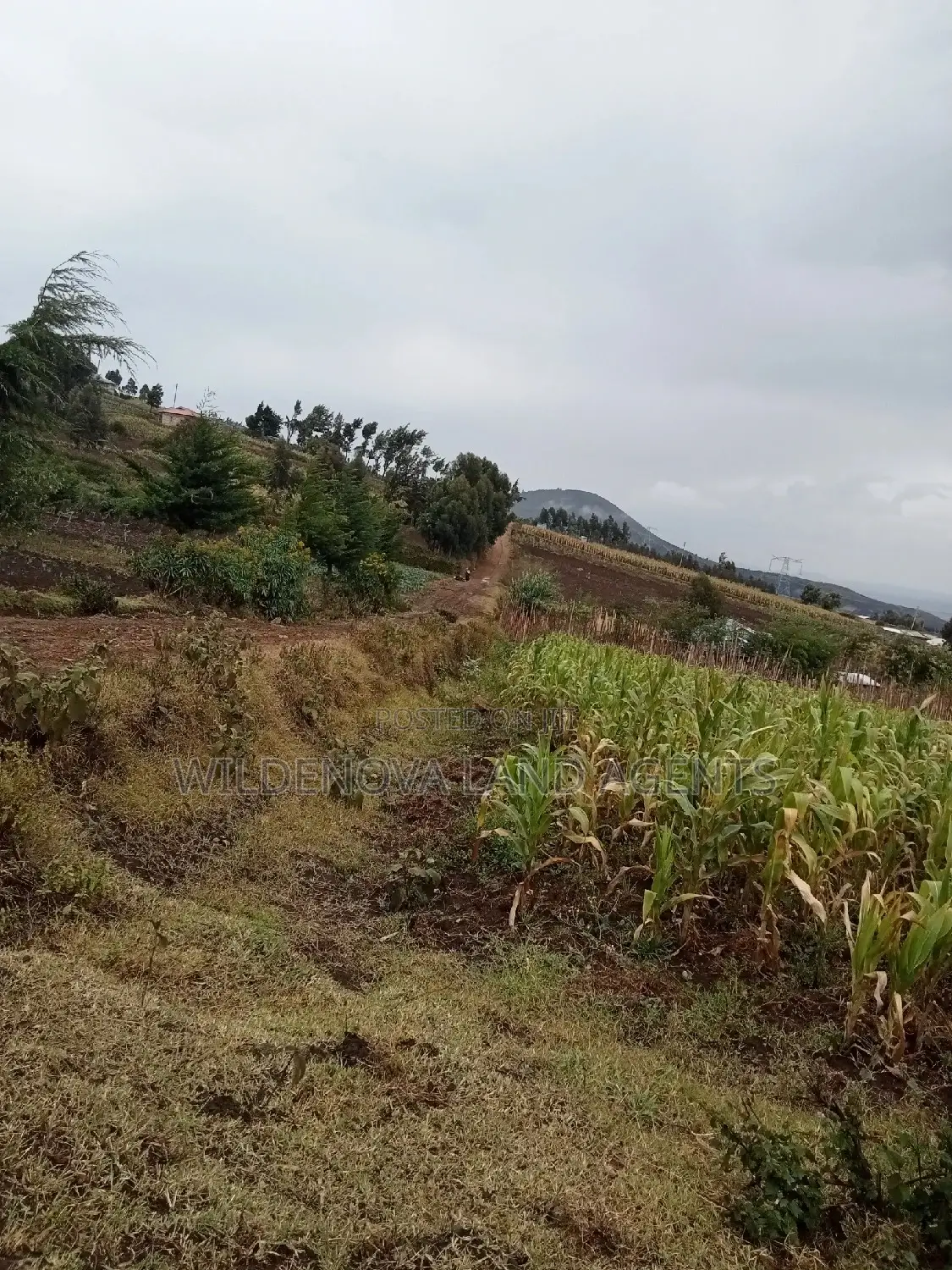 Naivasha Viewpoint Land: Discover Your Dream Property in Naivasha East