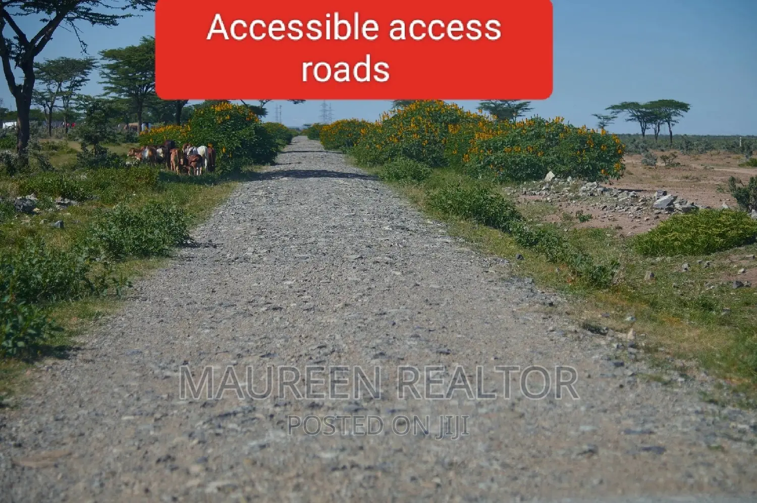 Olpajeta Nanyuki Land Plots: Seize the Opportunity Today! in Nanyuki