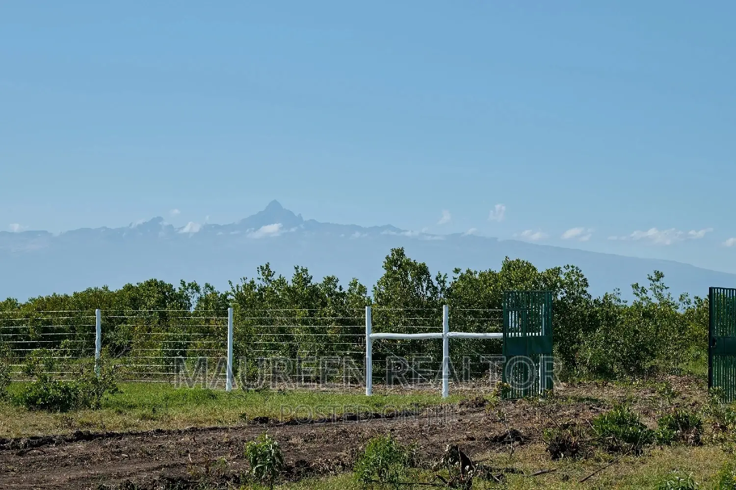 Olpajeta Nanyuki Land Plots: Seize the Opportunity Today! in Nanyuki
