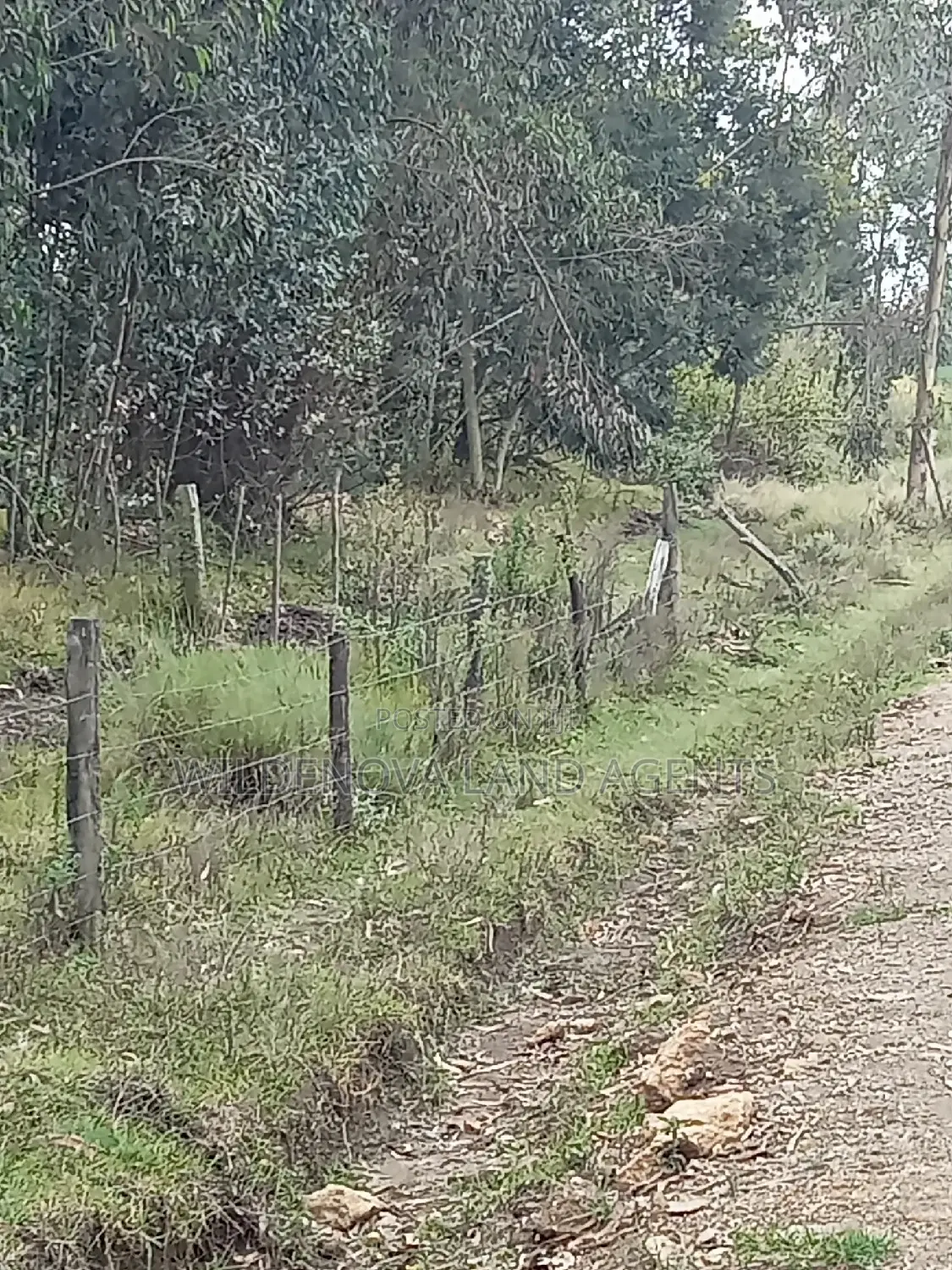 Kinangop Koinange: Buy Land Now at Unbeatable Prices in Magumu