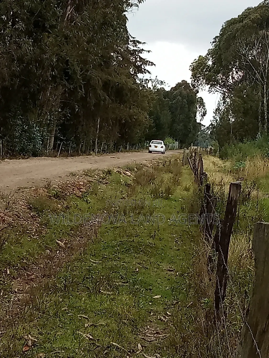 Kinangop Koinange: Buy Land Now at Unbeatable Prices in Magumu