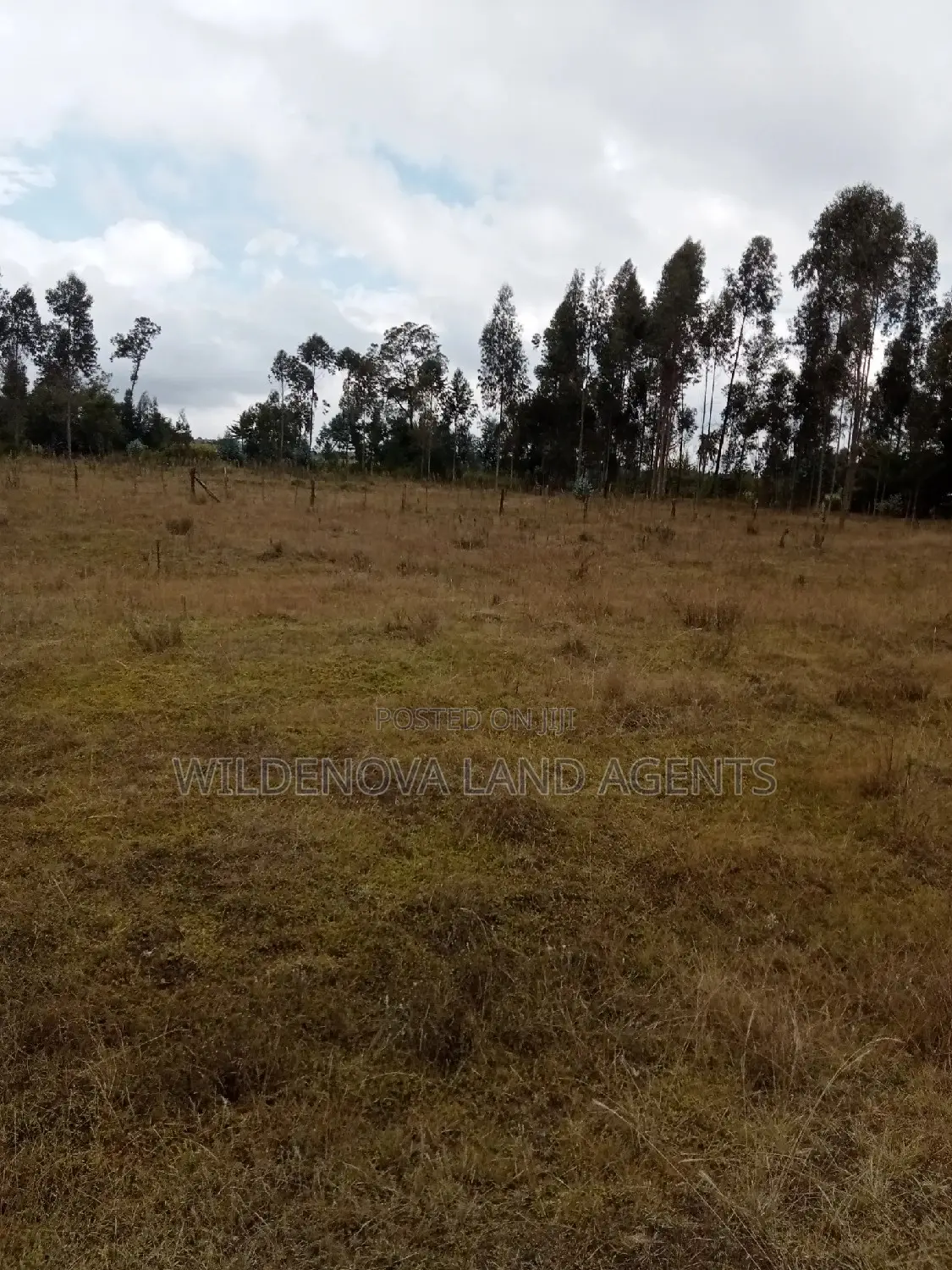 Kinangop Koinange: Buy Land Now at Unbeatable Prices in Magumu
