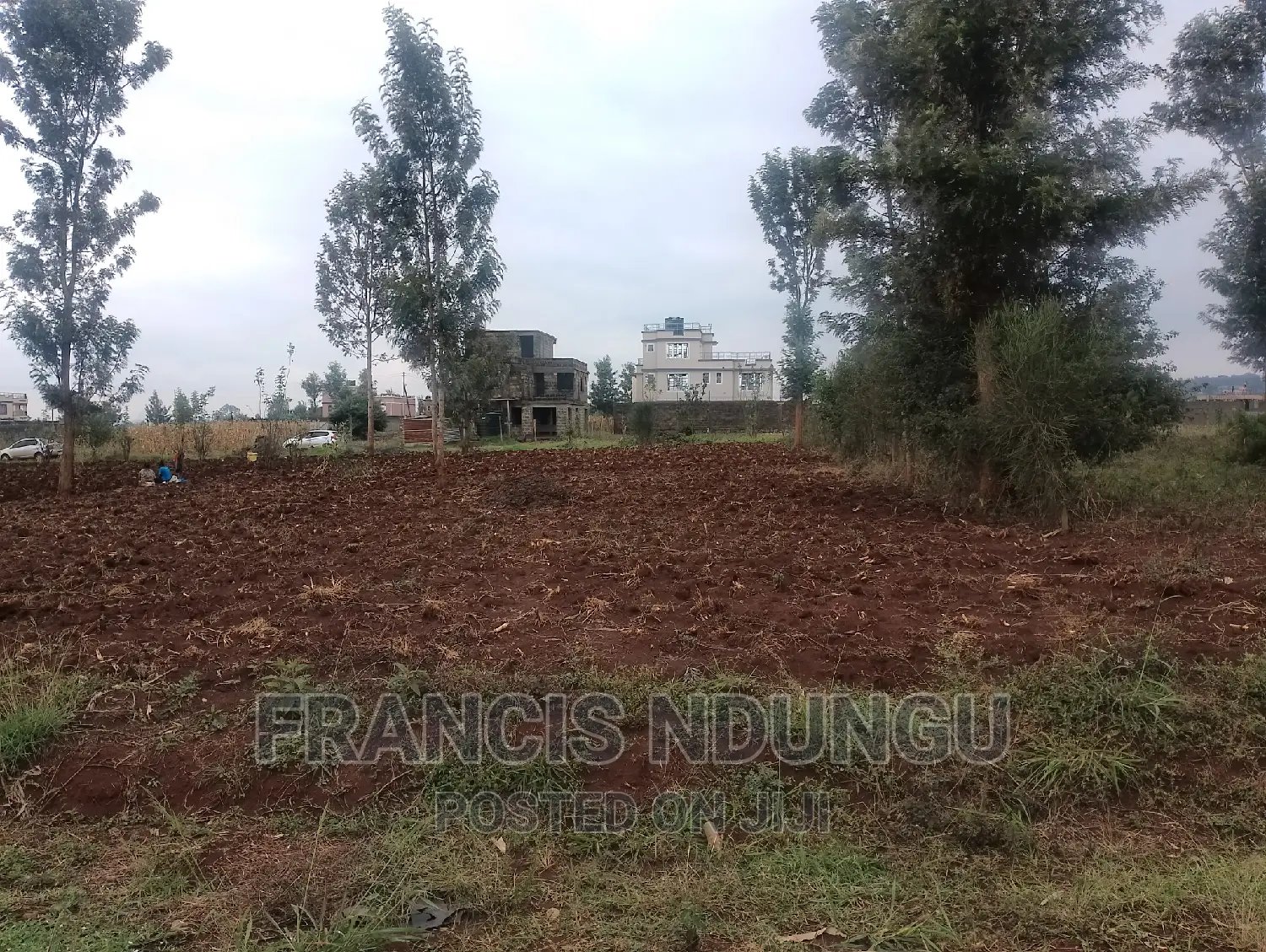 Tinganga Kiambu Town: Kiora Gated Estate Plots for Sale in Tinganga