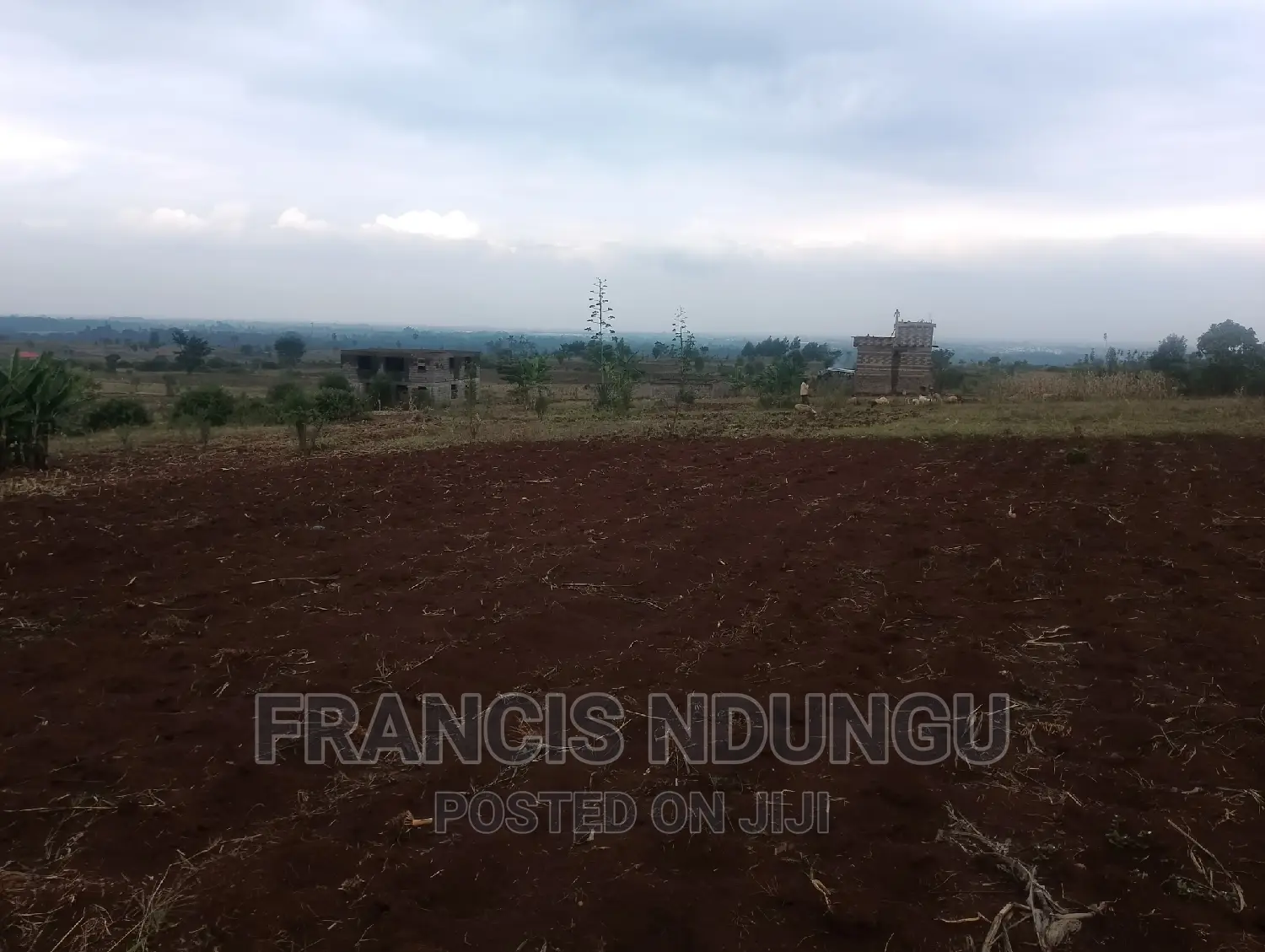 Matrofi Gated Estate Offer: Residential Plot in Kiambutown - Minimum 1 Acre in Tinganga
