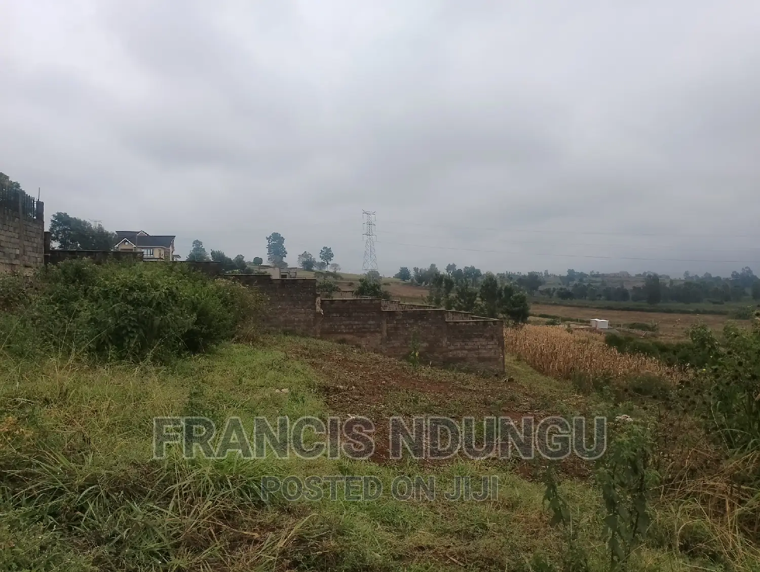 Kiora Tinganga Residential Plot - Kiambu Town Real Estate in Tinganga