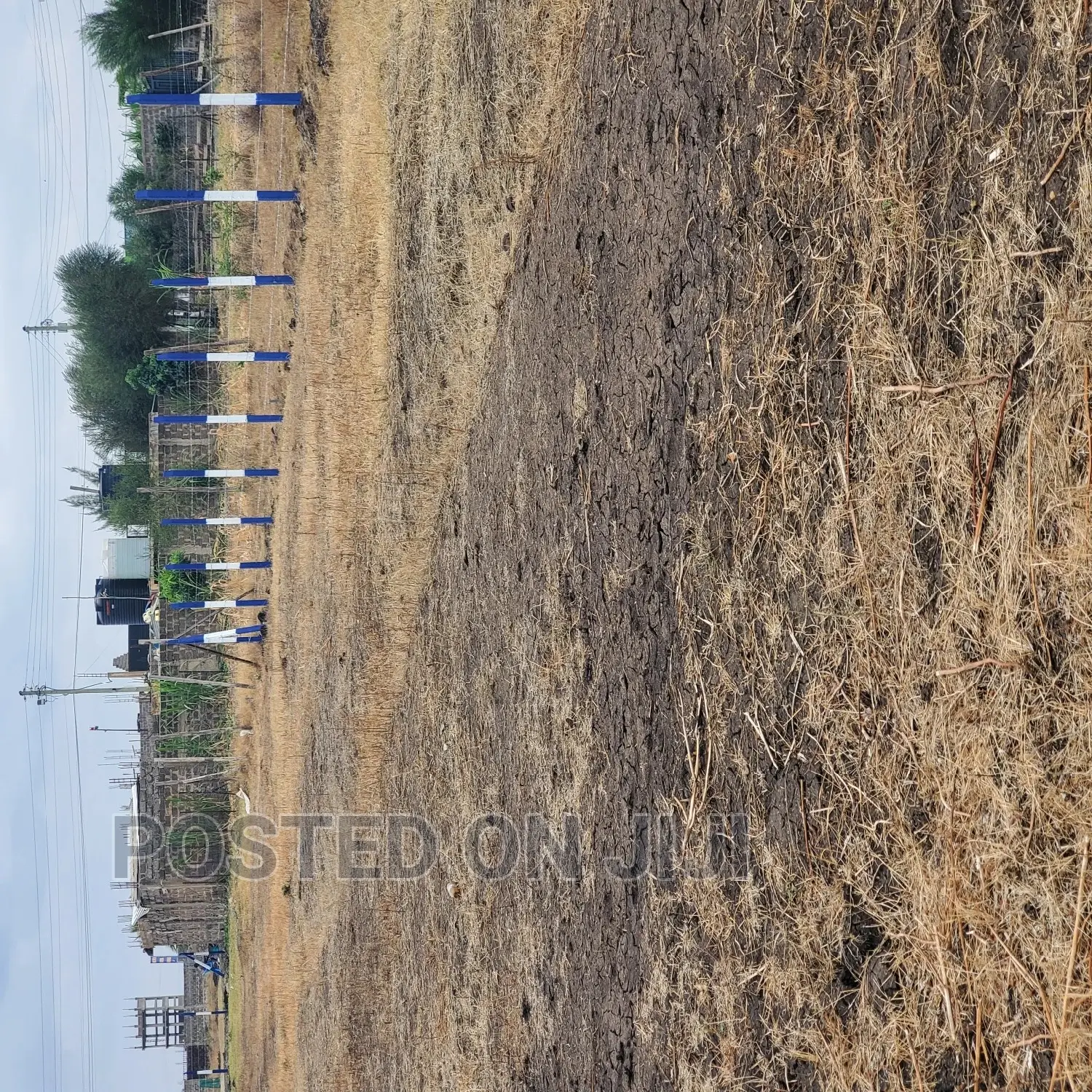 FANAKA Plots in Kamakis