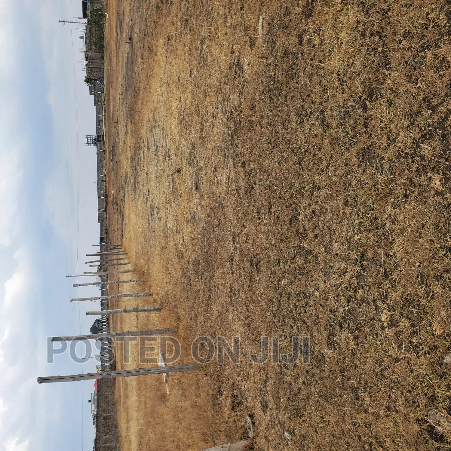 FANAKA Plots in Kamakis