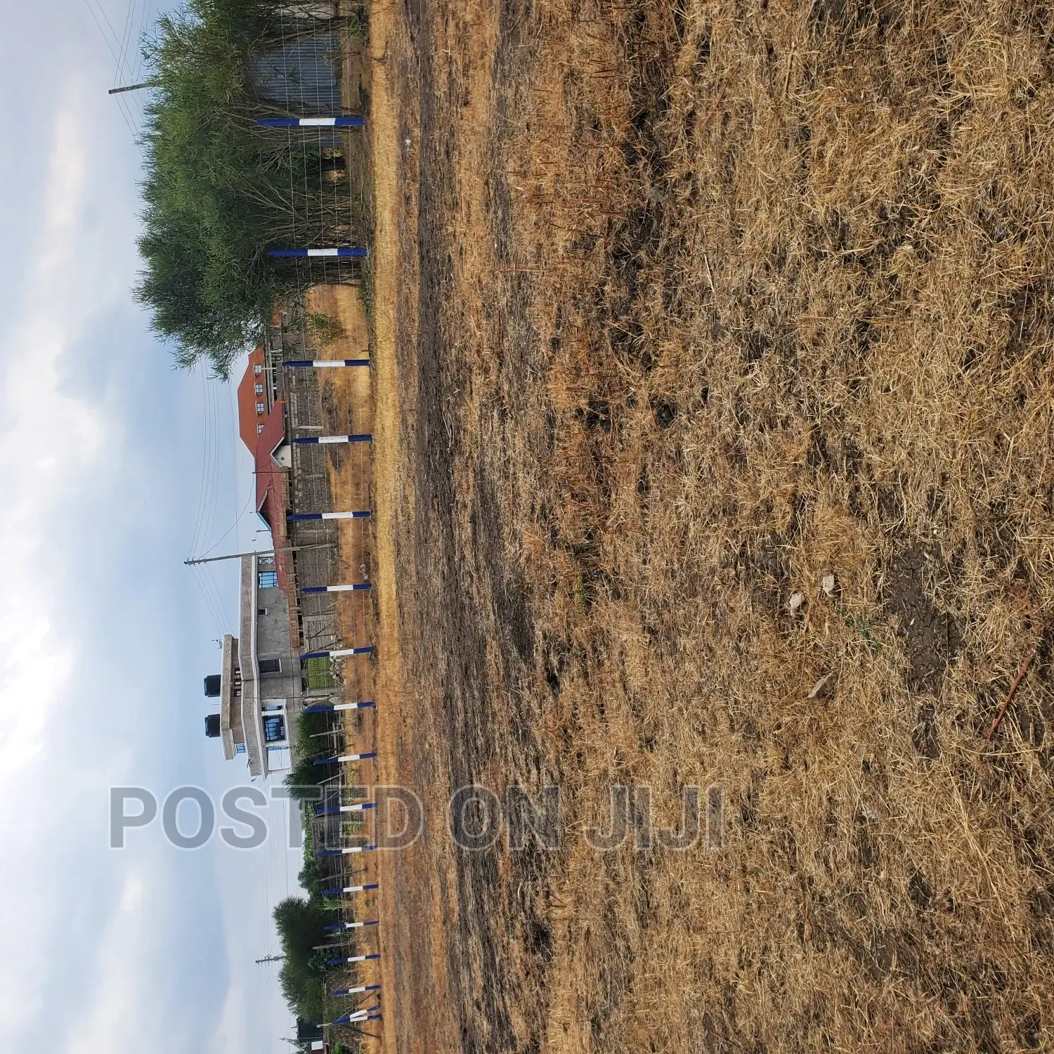 FANAKA Plots in Kamakis