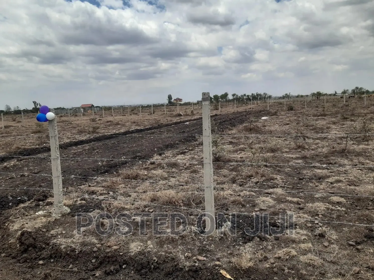 Kimunyu Plots in Kamakis