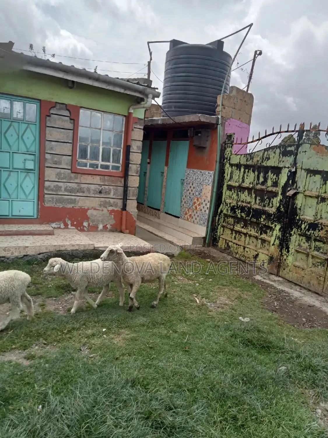 Magumu Kinangop: 50 * 100 Plot Sale - Ideal for Land Development in Magumu