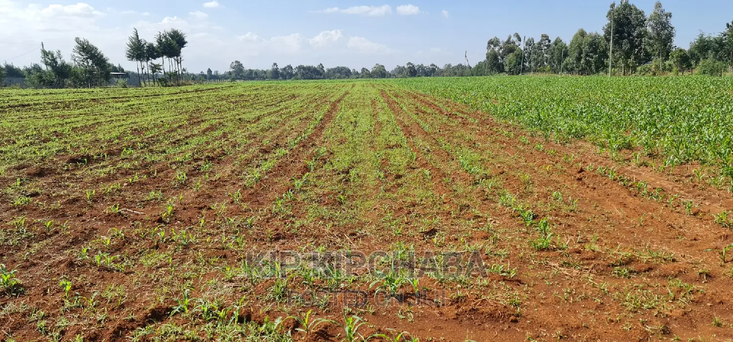 2 Acres of Land in Moiben Junction, Sergoit, Eldoret For Sale in Sergoit