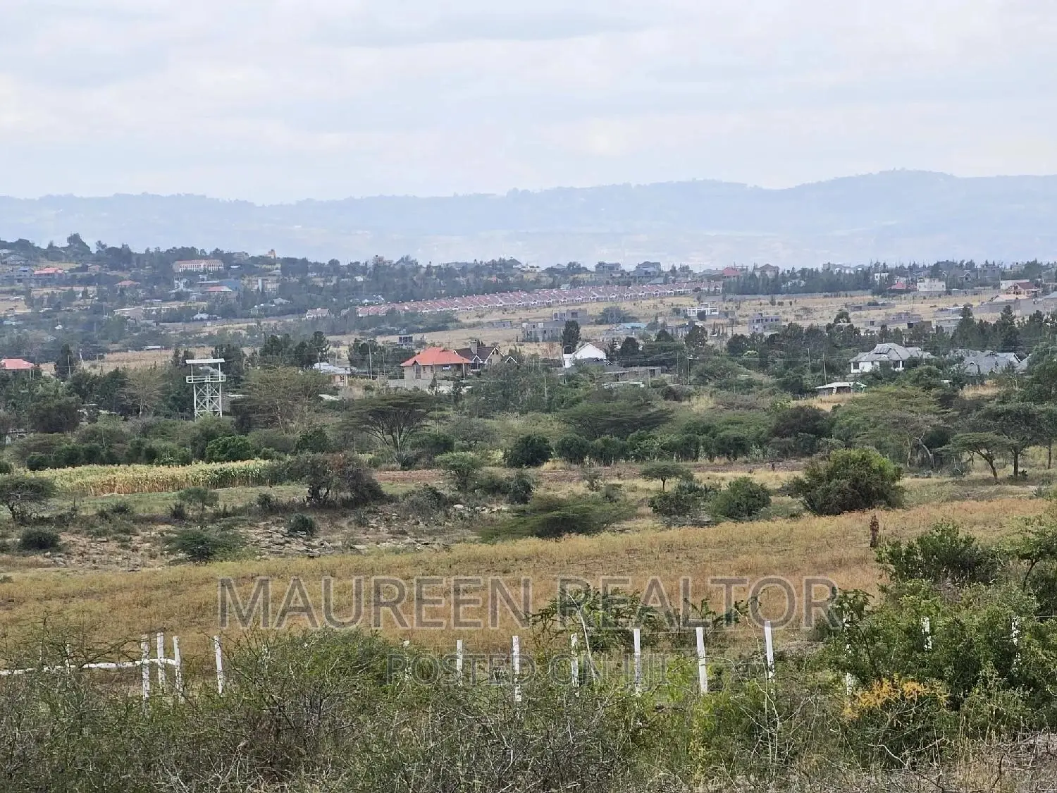Mwalimu Farm Offers 50 x 100 Plots for Sale in Ruiru