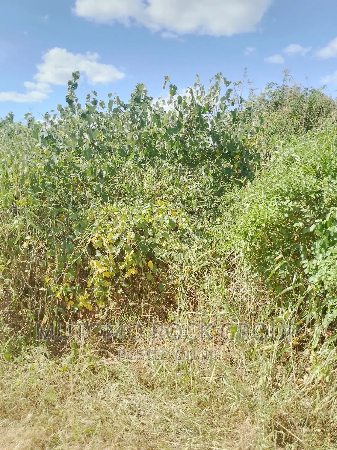 198acres Land For Sale With Title Deed in Mutomo