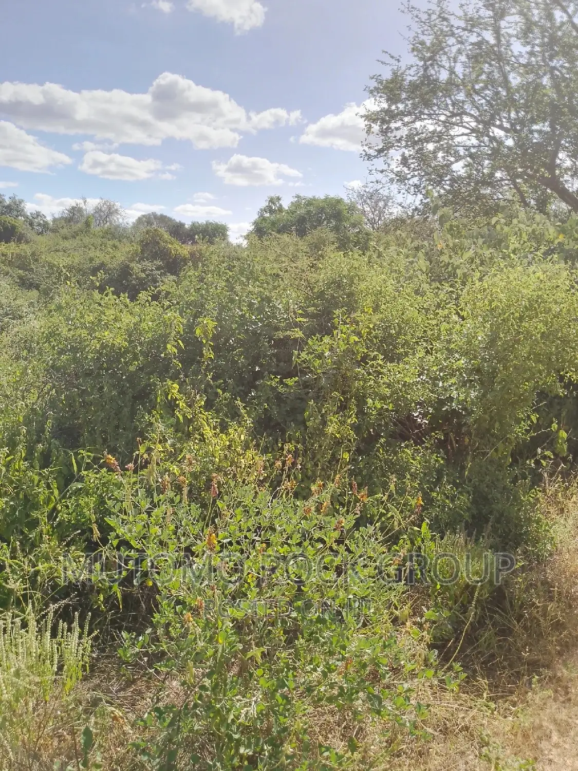 198acres Land For Sale With Title Deed in Mutomo