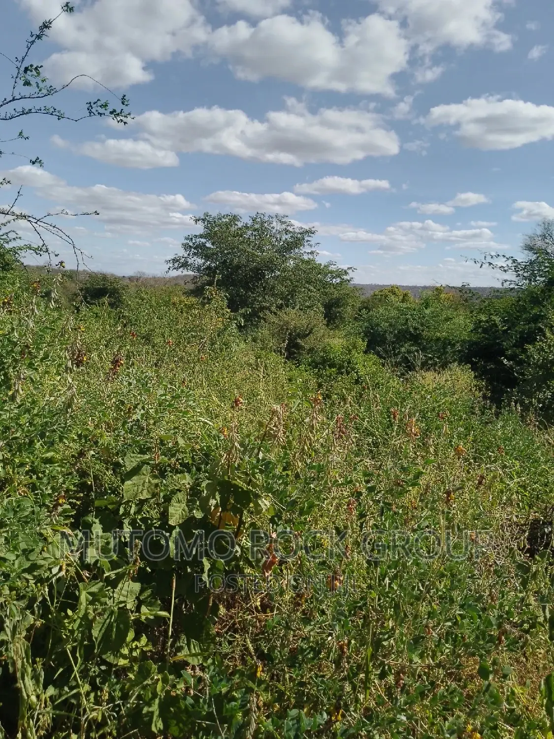 198acres Land For Sale With Title Deed in Mutomo