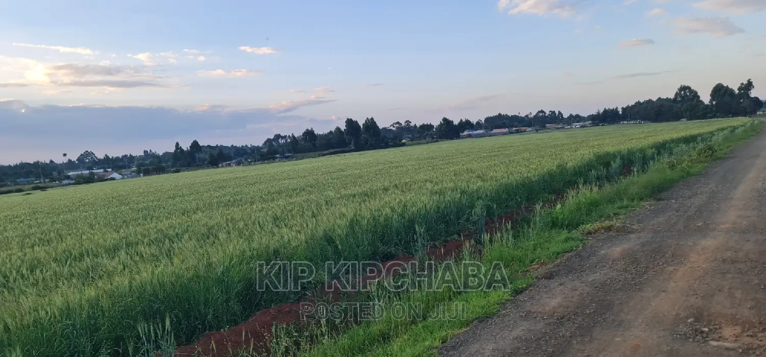 Eldoret, Kipkabus: 18 Acres Arable Land Available for Sale in Kaptagat
