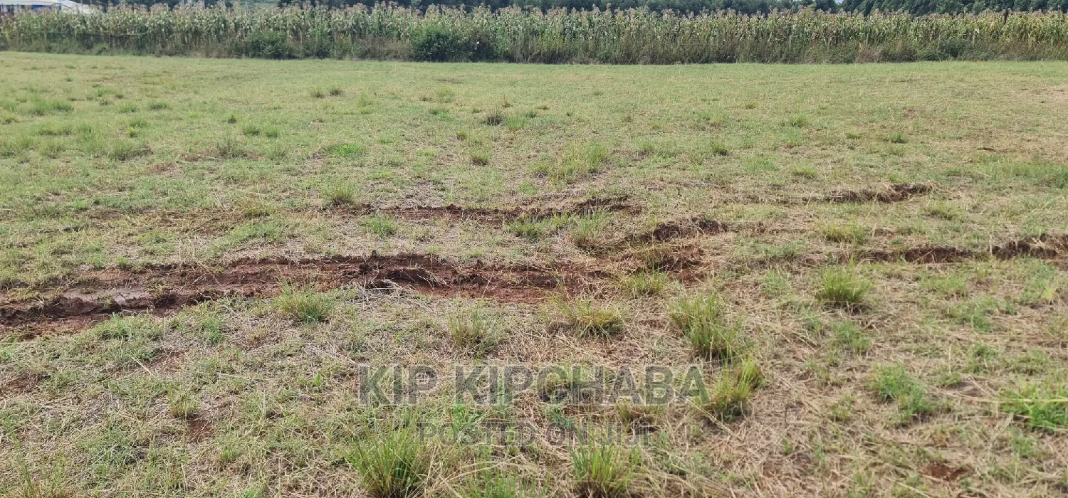 Kiplombe Kapndani, Eldoret: 1 Acre Land Available for Purchase in Kiplombe