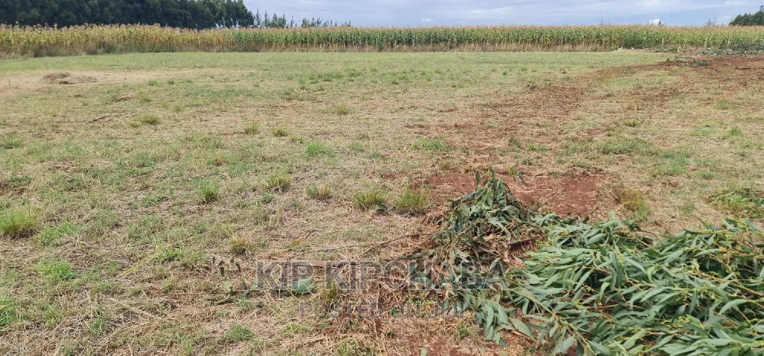 Kiplombe Kapndani, Eldoret: 1 Acre Land Available for Purchase in Kiplombe