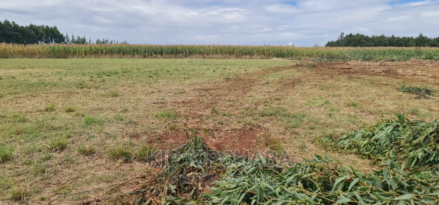 Kiplombe Kapndani, Eldoret: 1 Acre Land Available for Purchase in Kiplombe