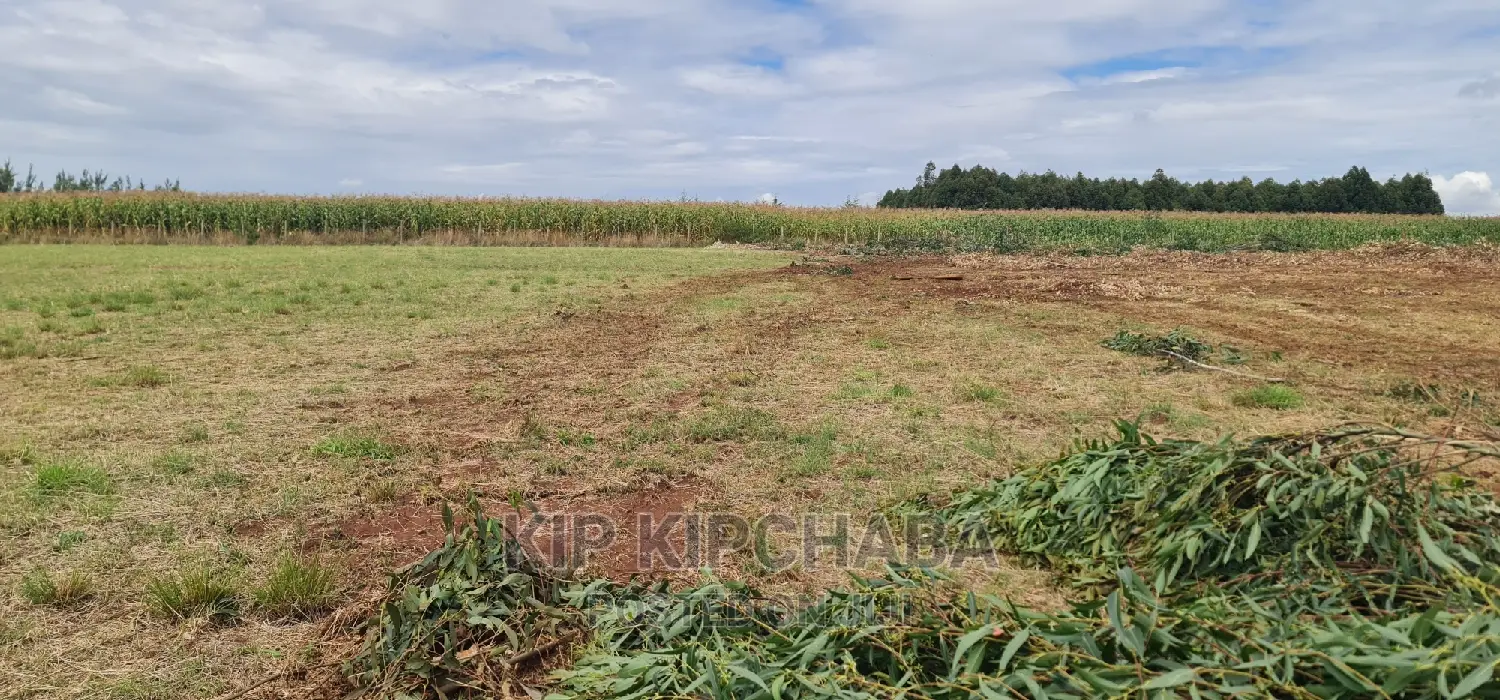 Kiplombe Kapndani, Eldoret: 1 Acre Land Available for Purchase in Kiplombe