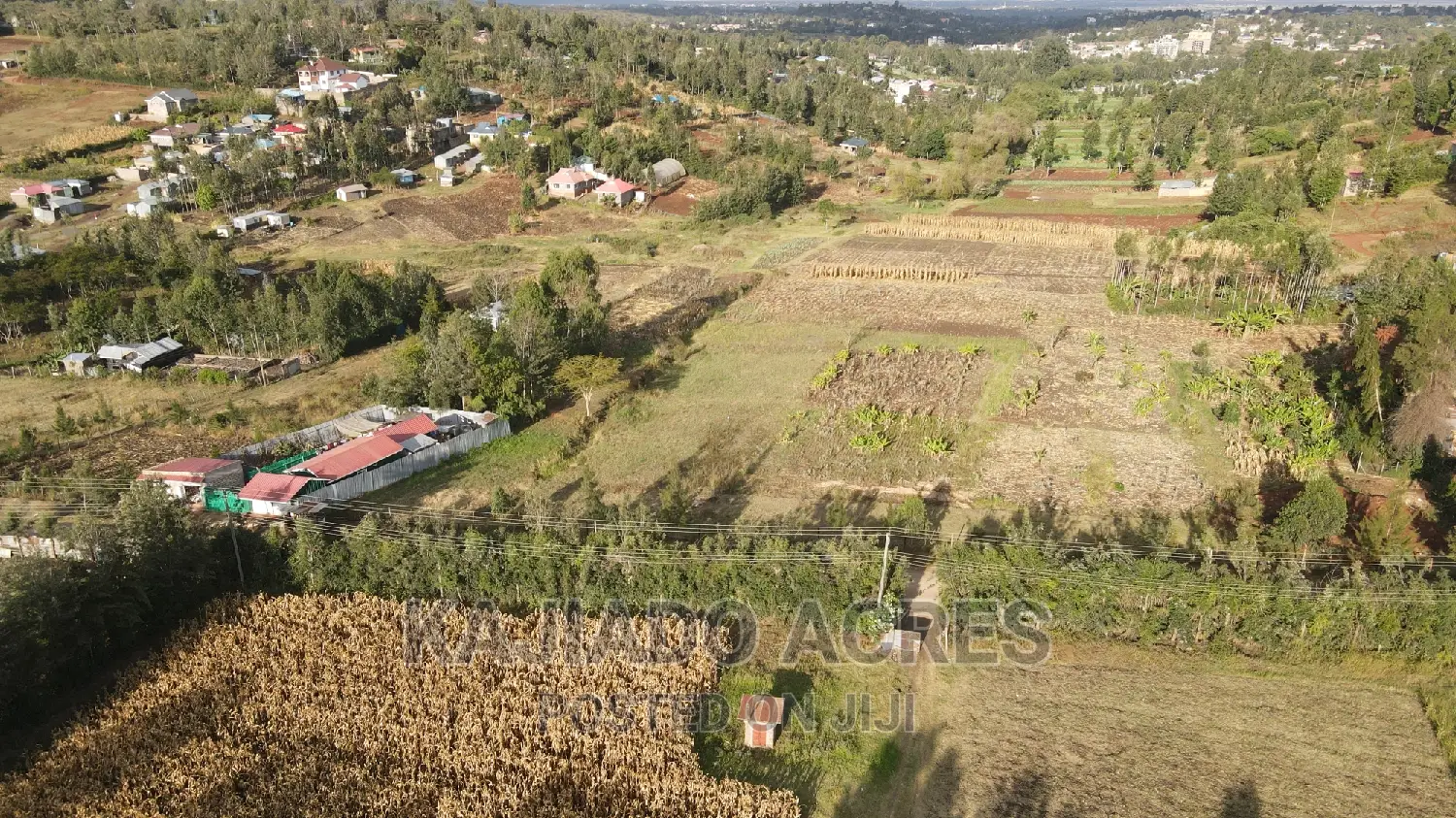 Affordable 10-Acre Land in Ngong: Kaurai, at Just 15m Per Acre! in Ngong