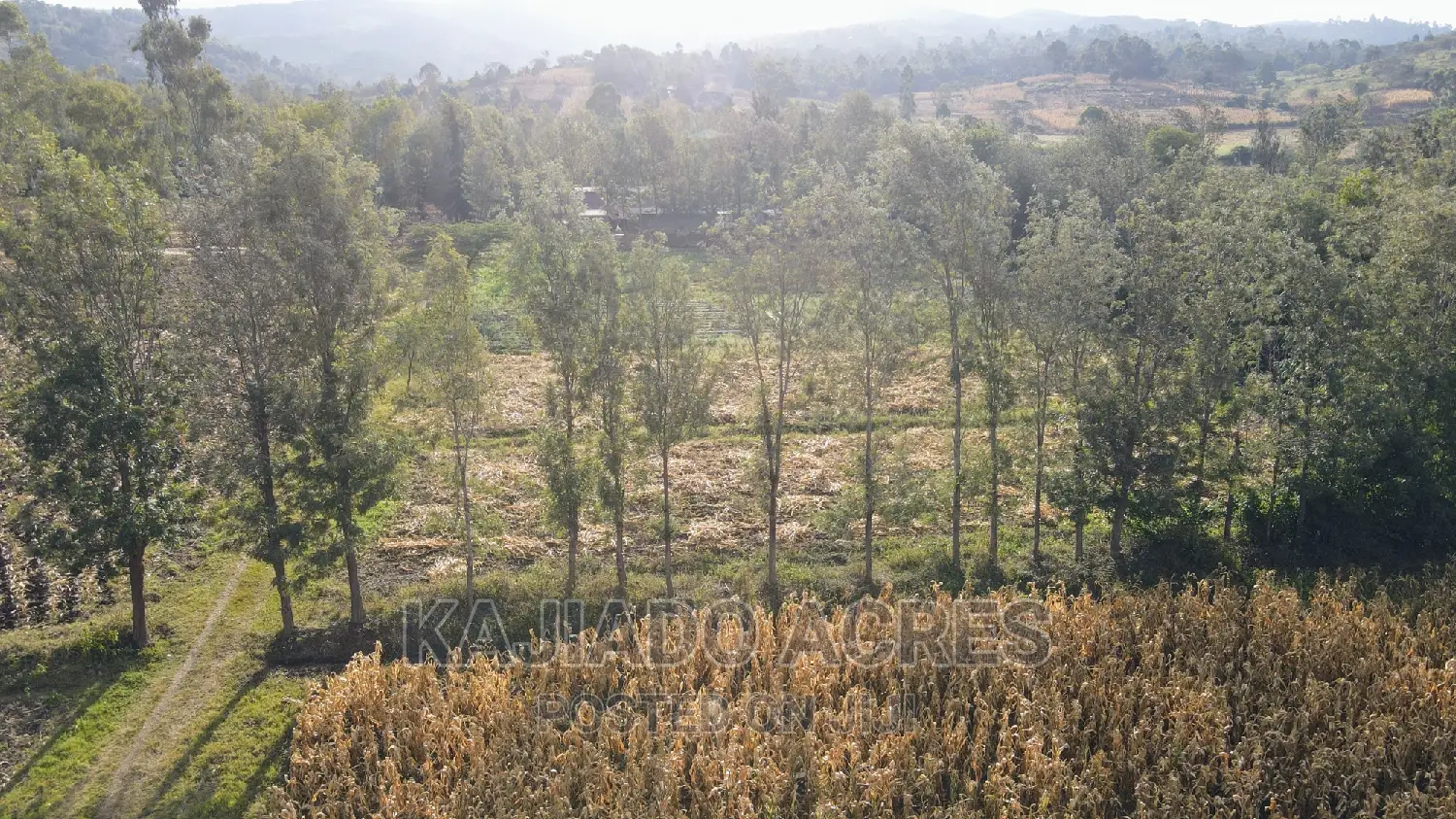 Affordable 10-Acre Land in Ngong: Kaurai, at Just 15m Per Acre! in Ngong