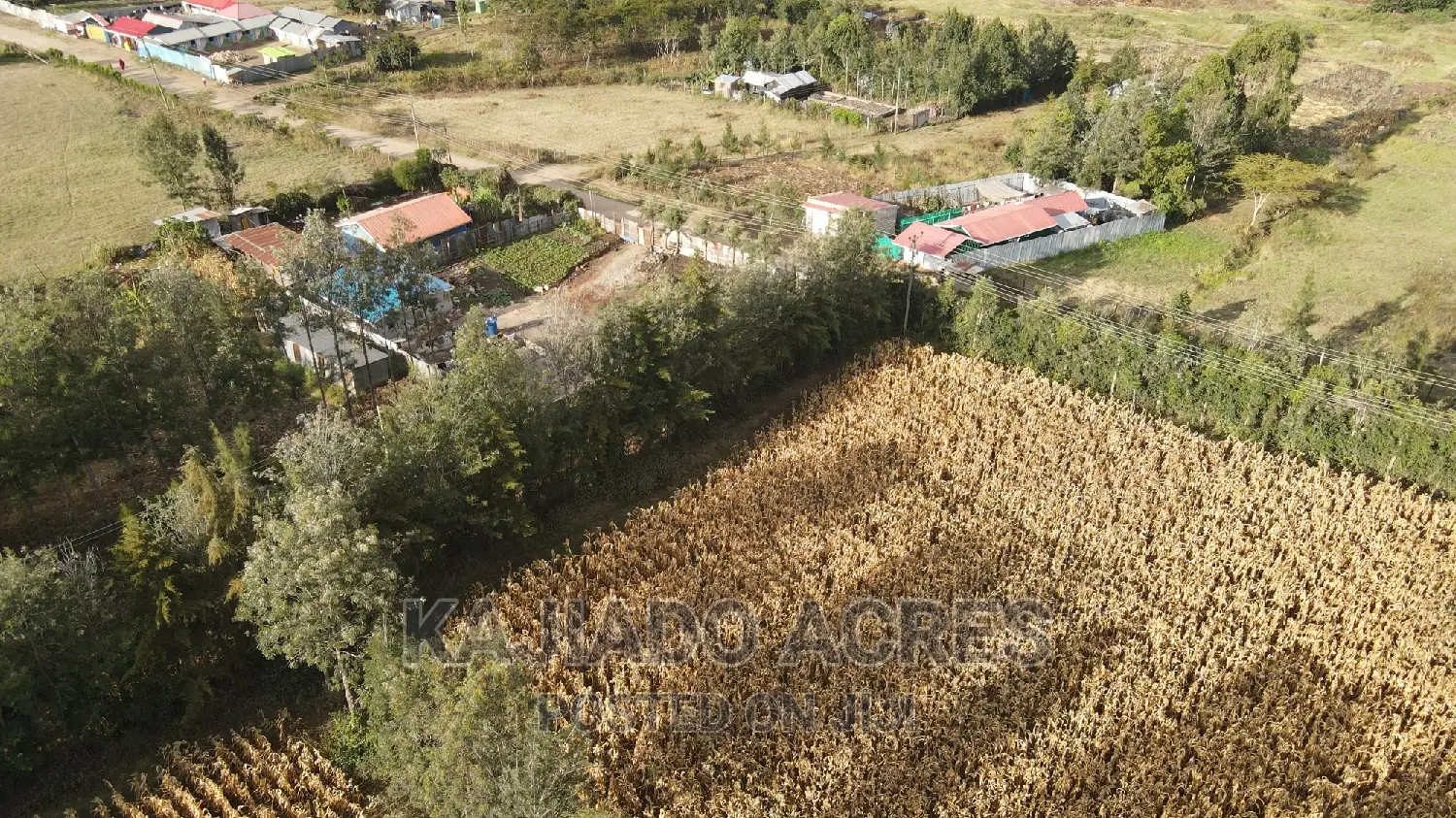 Affordable 10-Acre Land in Ngong: Kaurai, at Just 15m Per Acre! in Ngong