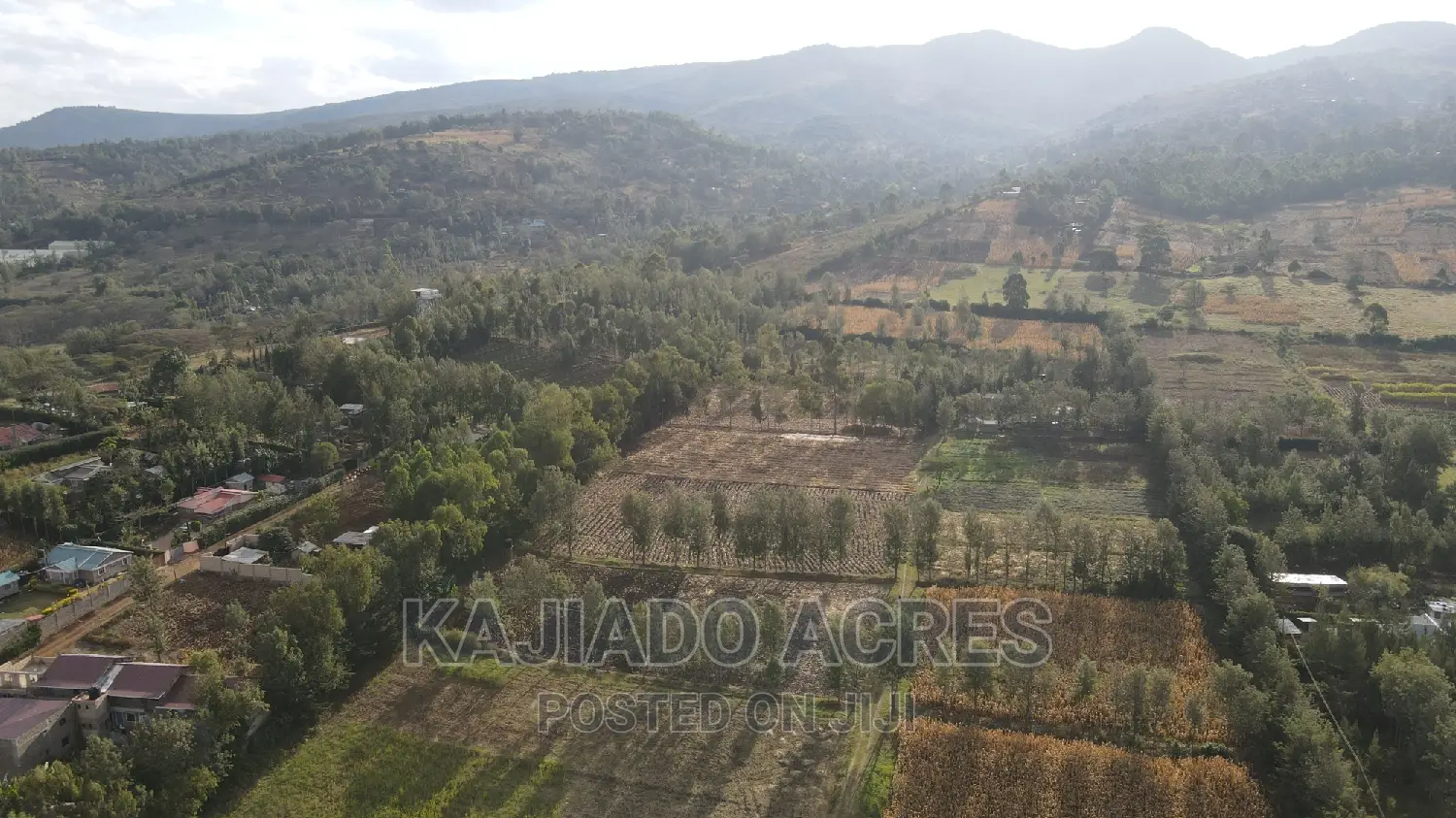 Affordable 10-Acre Land in Ngong: Kaurai, at Just 15m Per Acre! in Ngong