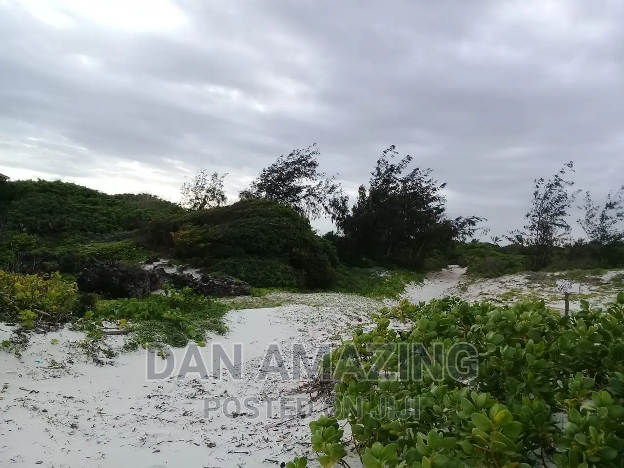 Your Dream 4-Bedroom Villa in Watamu - For Sale in Watamu