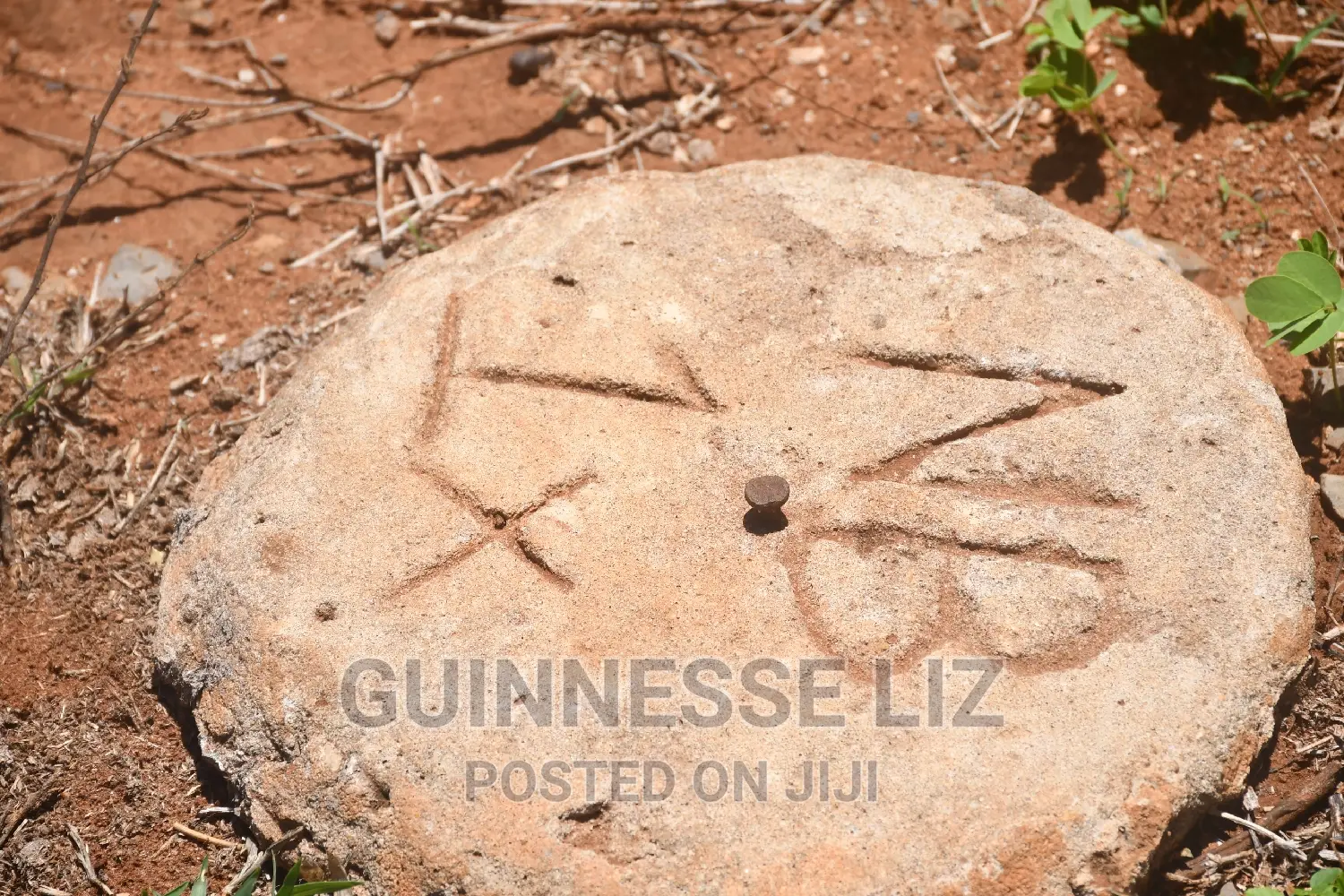 Bofa Land Plots for Sale on B69 Route - Invest Today in Sokoni