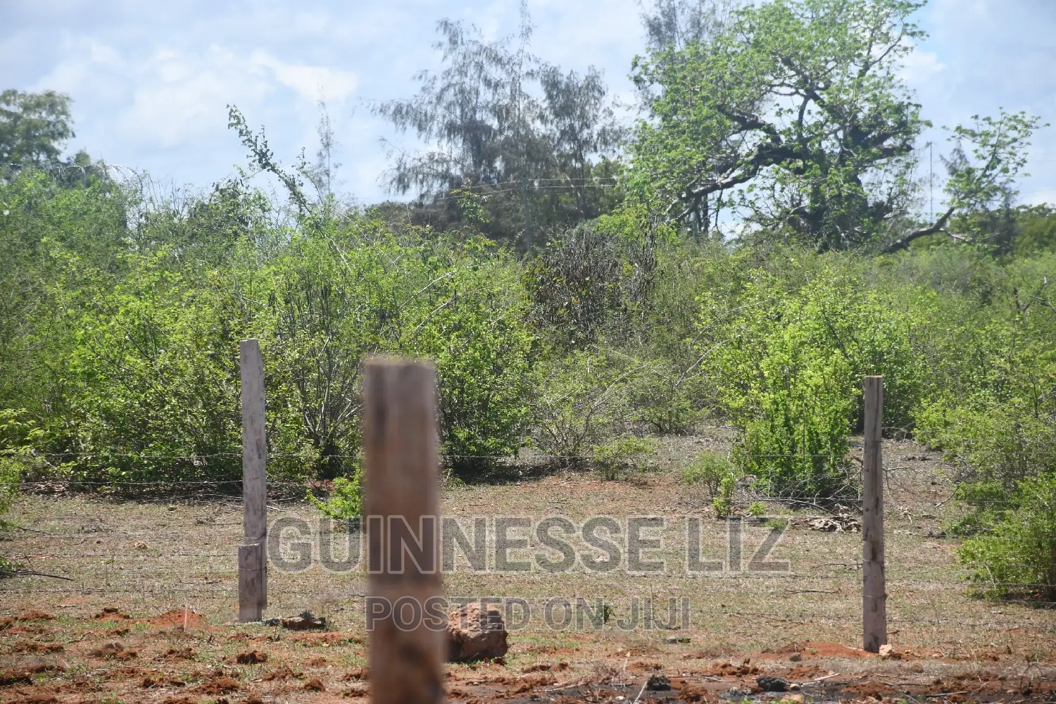 Bofa Land Plots for Sale on B69 Route - Invest Today in Sokoni