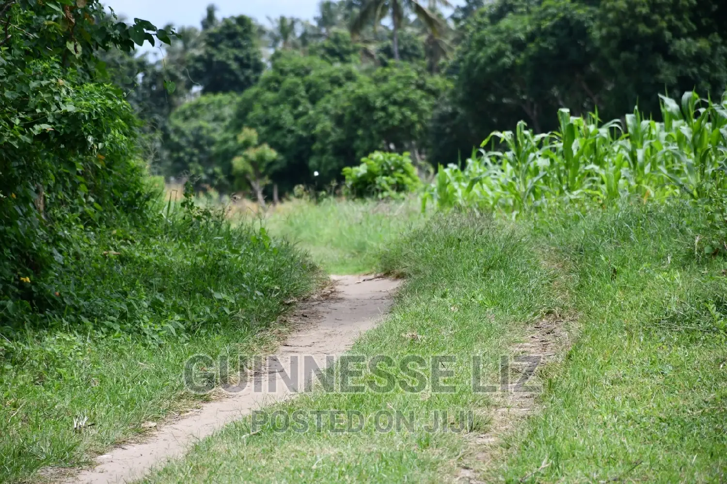 Kikambala: 1/4 Acre Land Plots - Instant Sale! in Kikambala