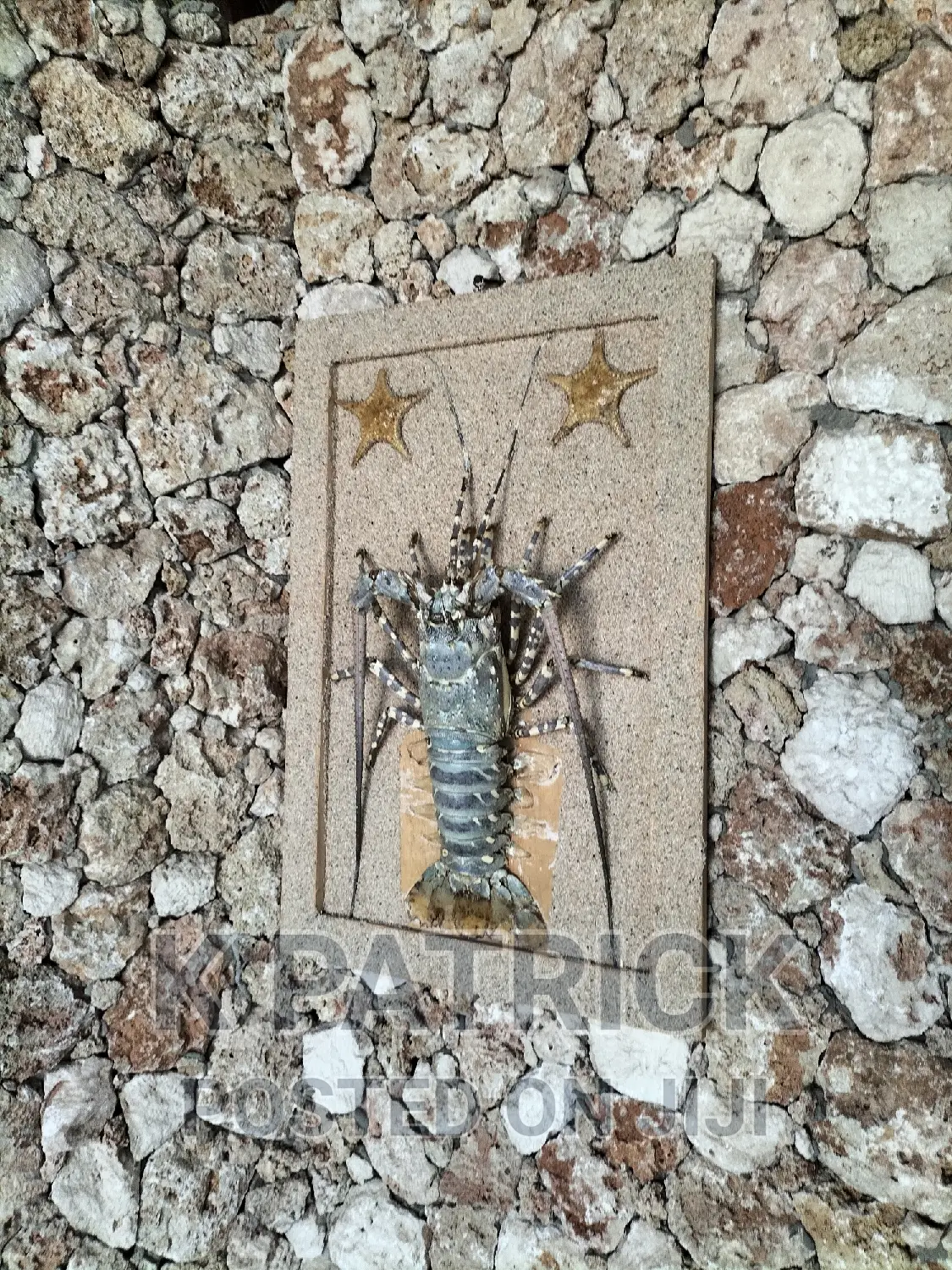 One Bedroom Airbnb in Watamu