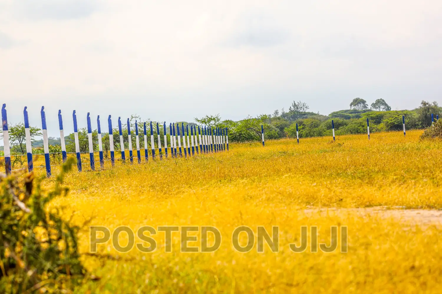 50 by 100 Plots in Koma. ^EM in Koma Hills Area