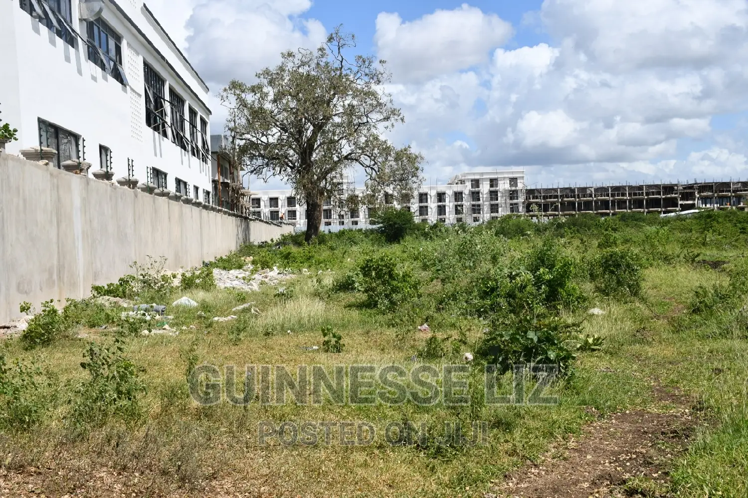 New Life Complex-adjacent Mavueni Plots for Investment in Jaribuni