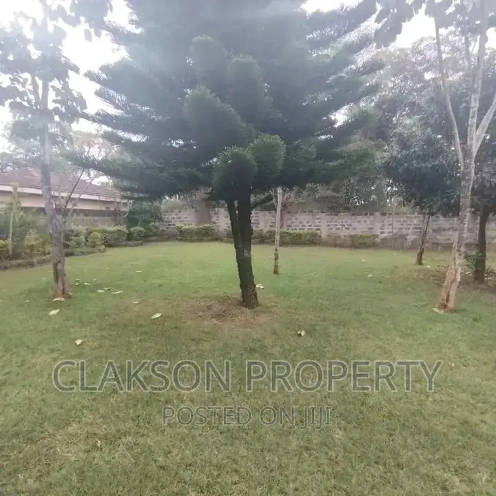 Modern 3-Bedroom Bungalow Available for Rent in Karen in Karen